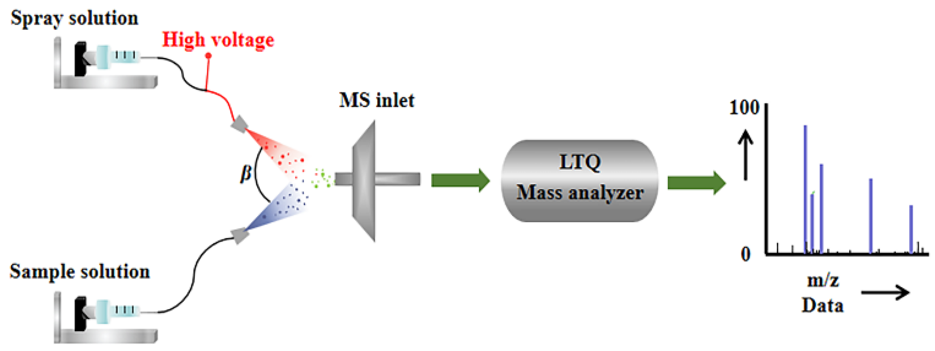 Molecules 30 04206 g004 Molecules 30 04206 g004