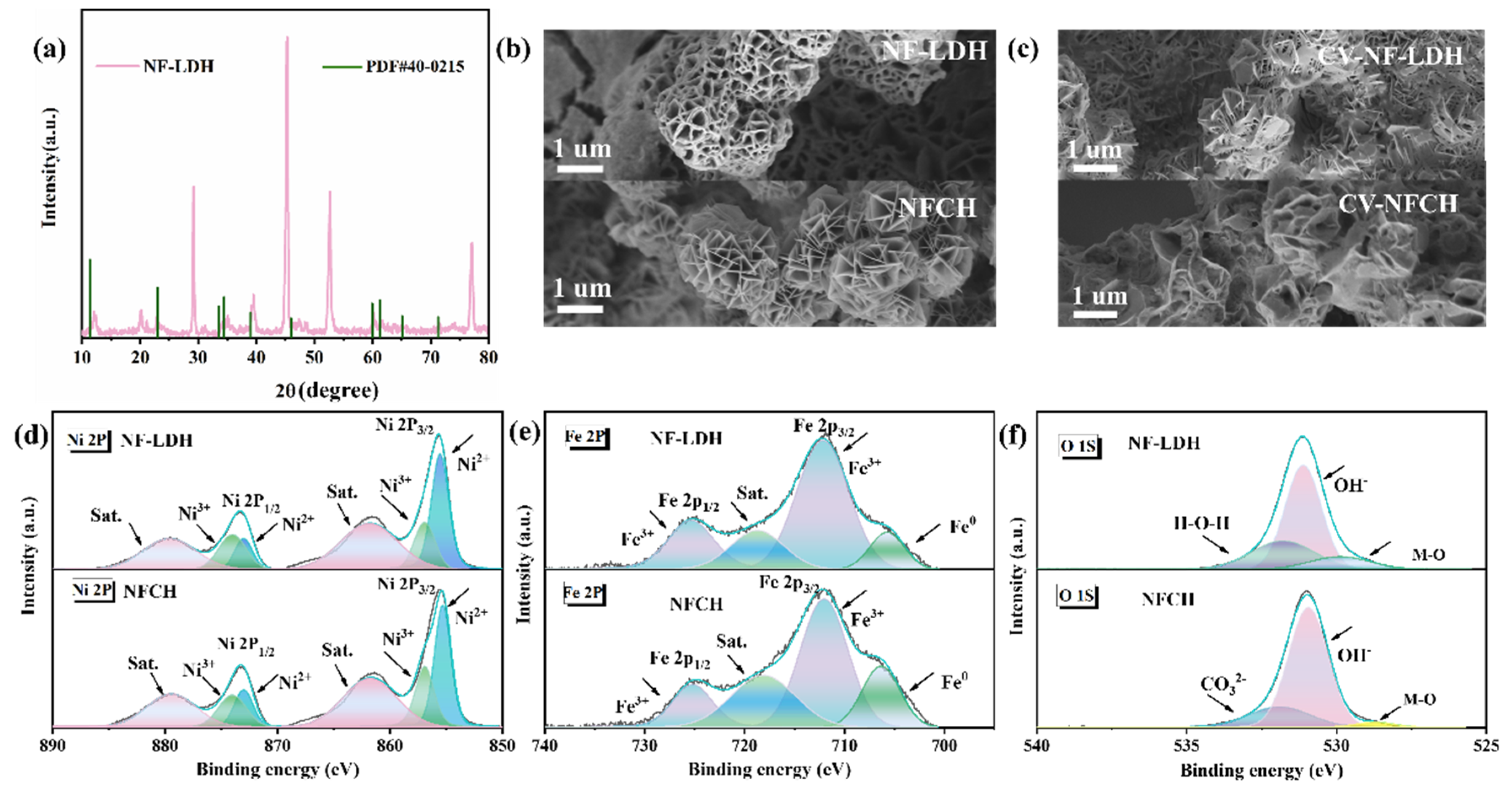 Molecules 30 04209 g002 Molecules 30 04209 g002