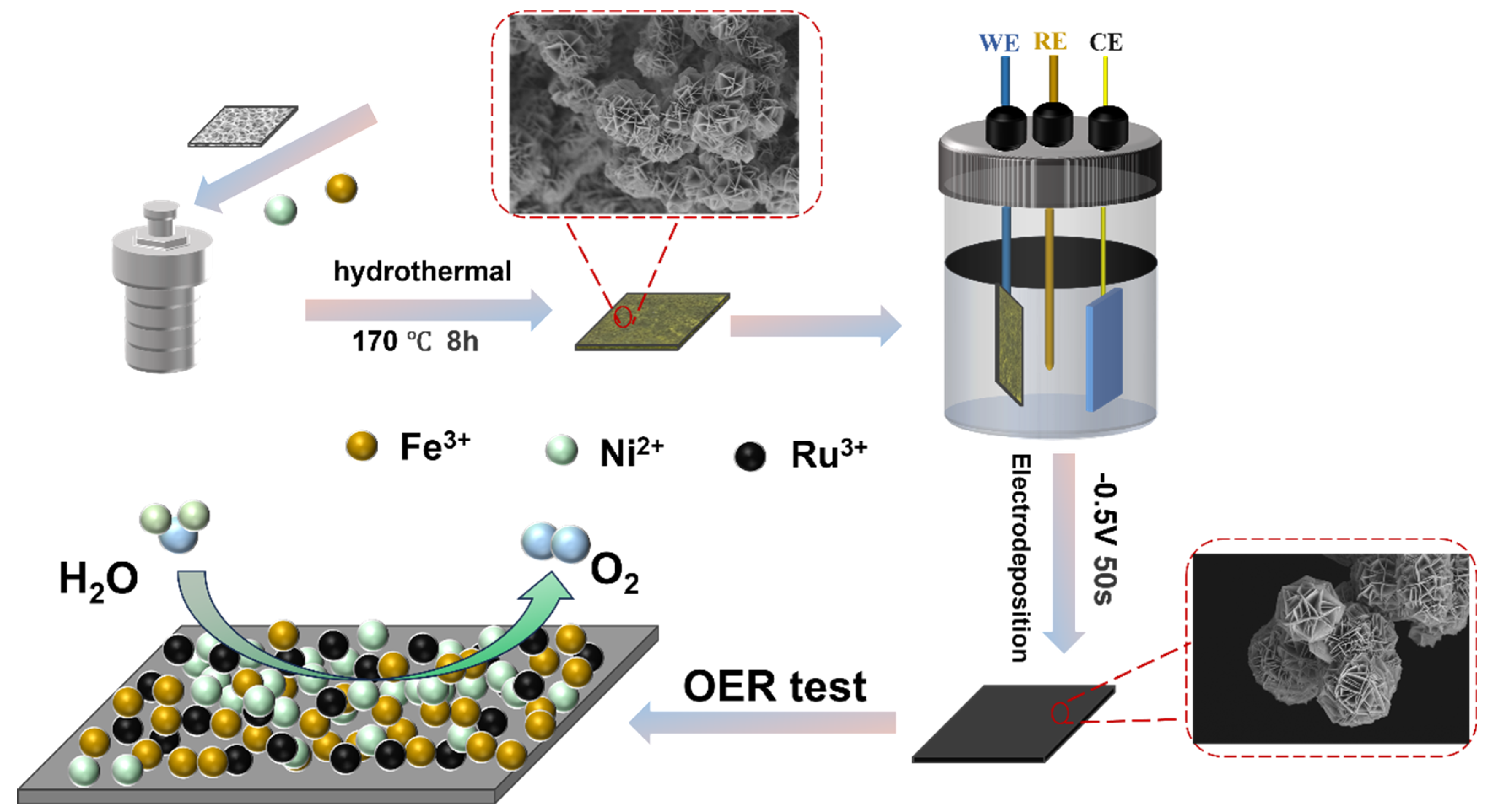Molecules 30 04209 g007 Molecules 30 04209 g007