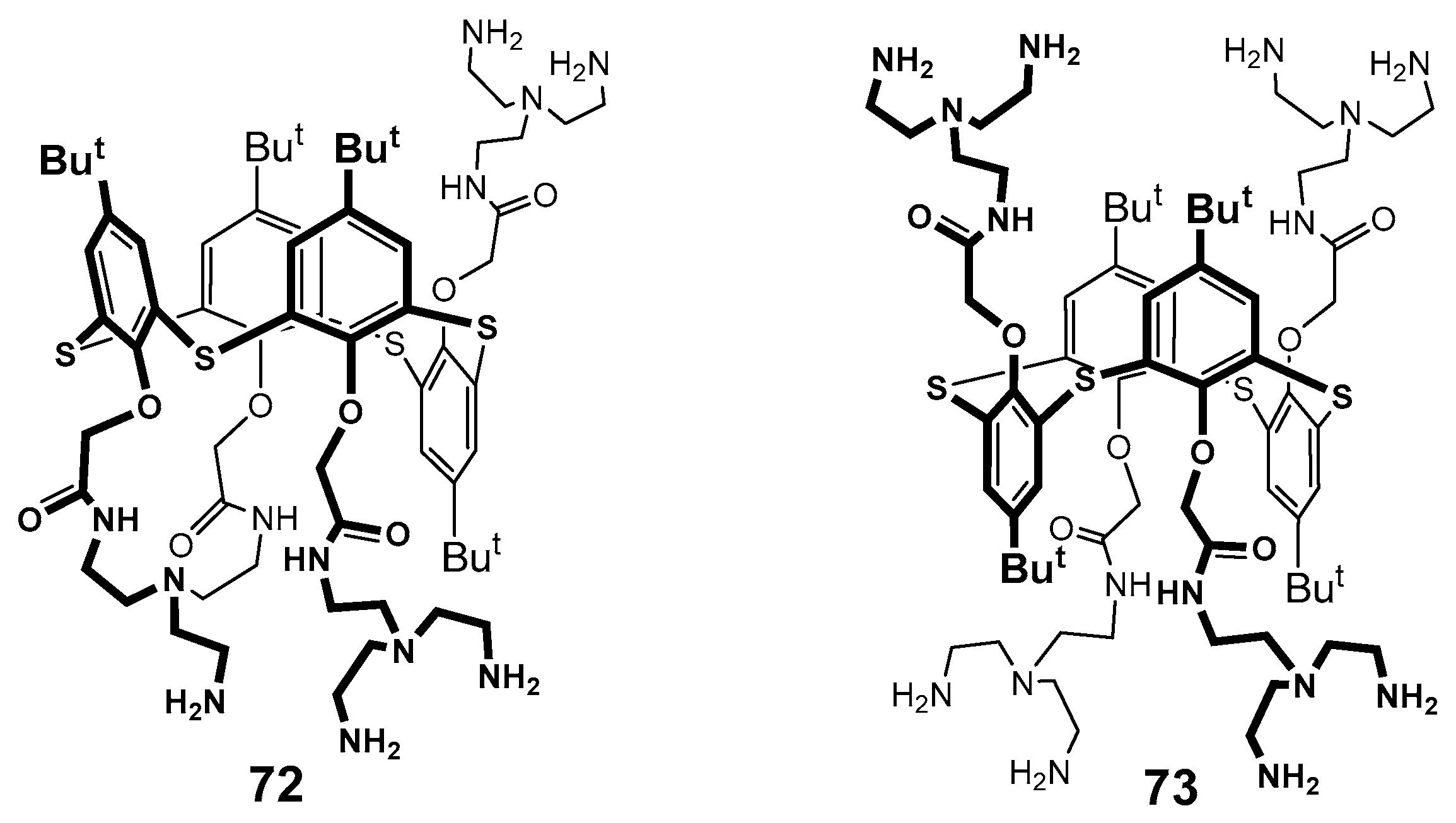 Molecules 30 04211 g008 Molecules 30 04211 g008