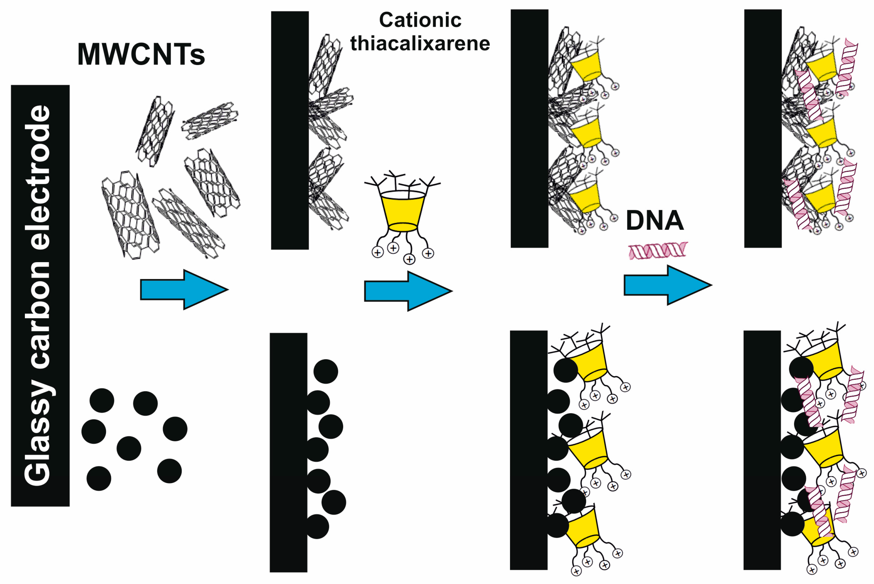 Molecules 30 04211 g009 Molecules 30 04211 g009