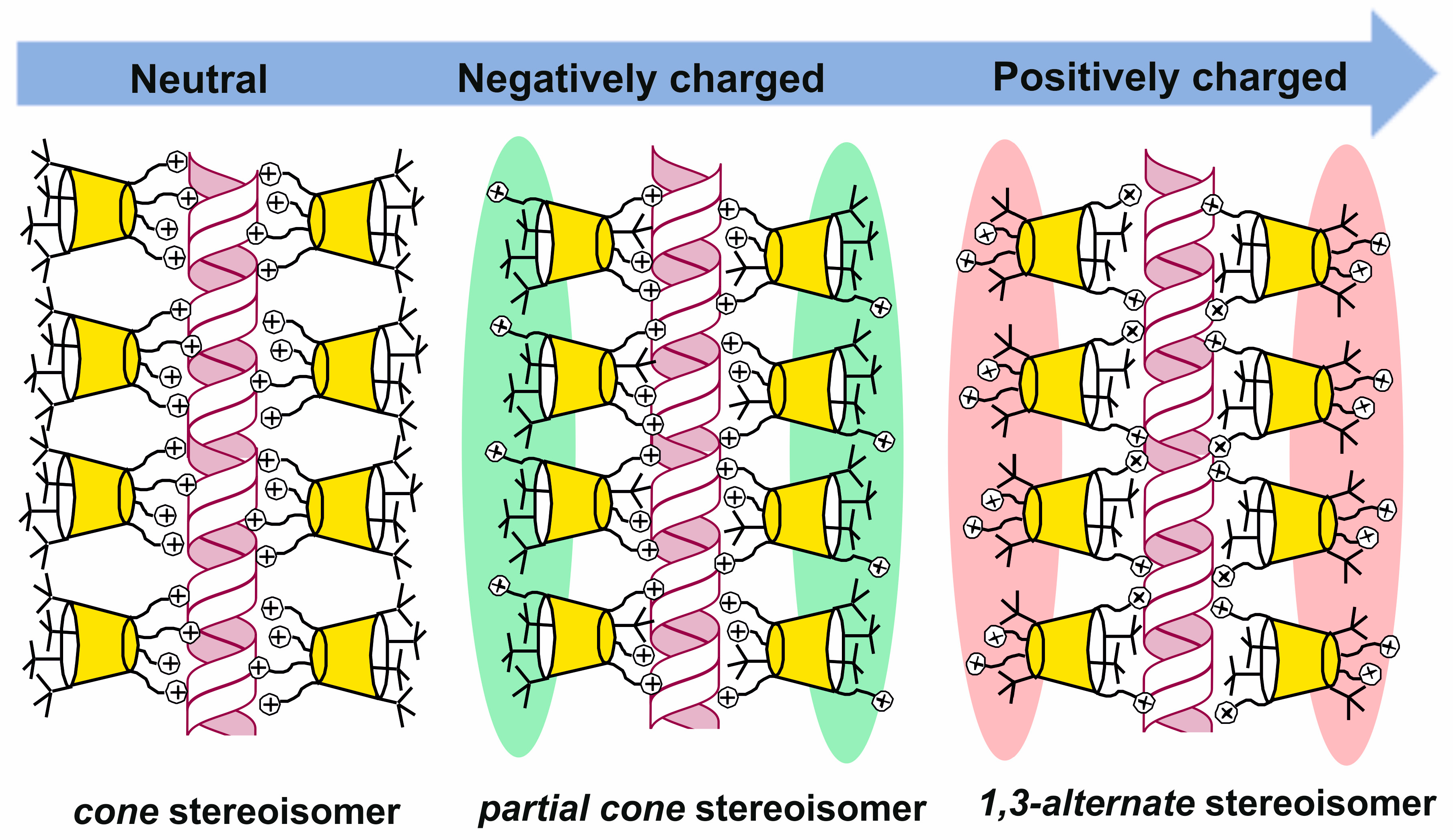 Molecules 30 04211 g010 Molecules 30 04211 g010