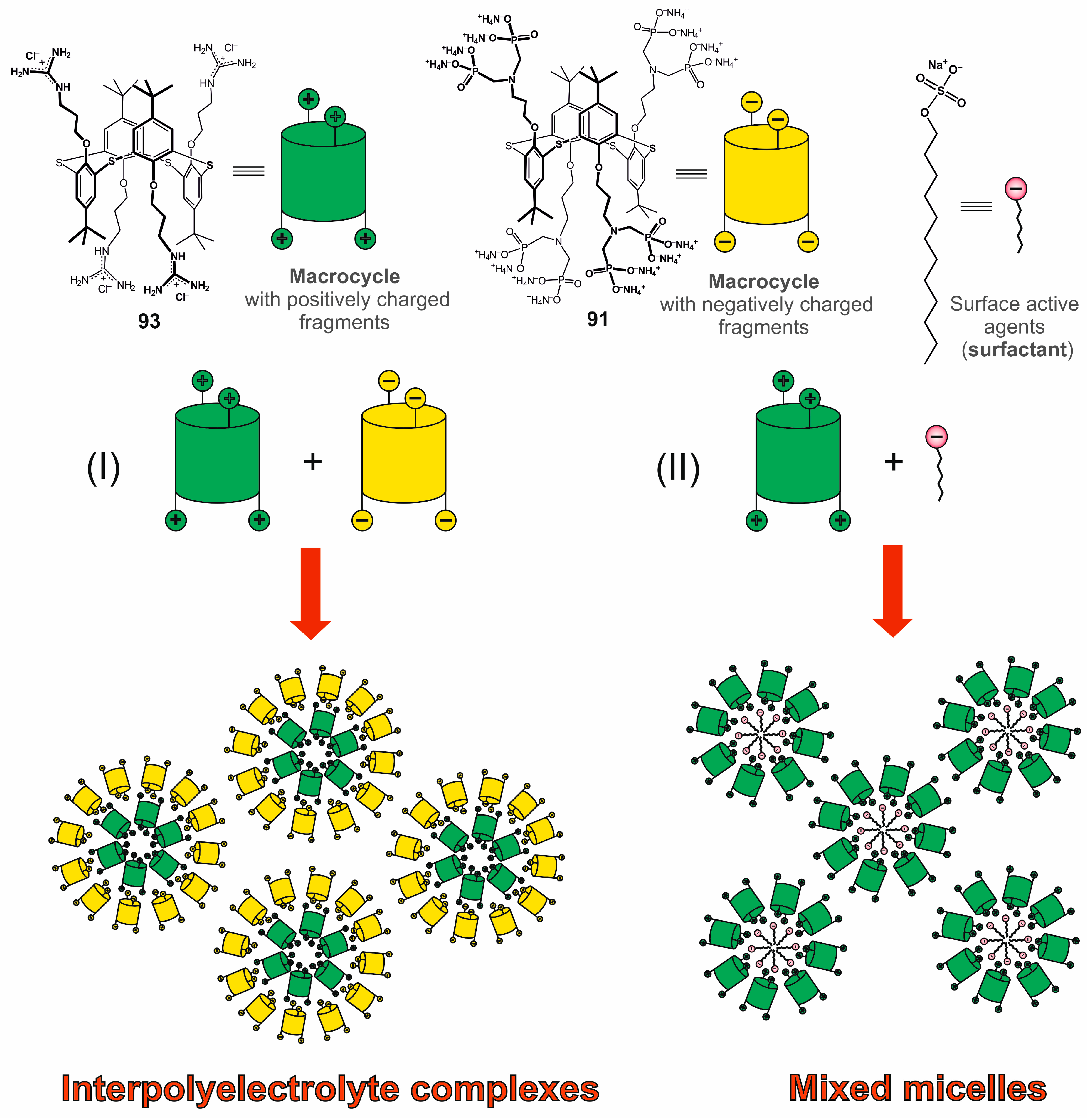 Molecules 30 04211 g017 Molecules 30 04211 g017