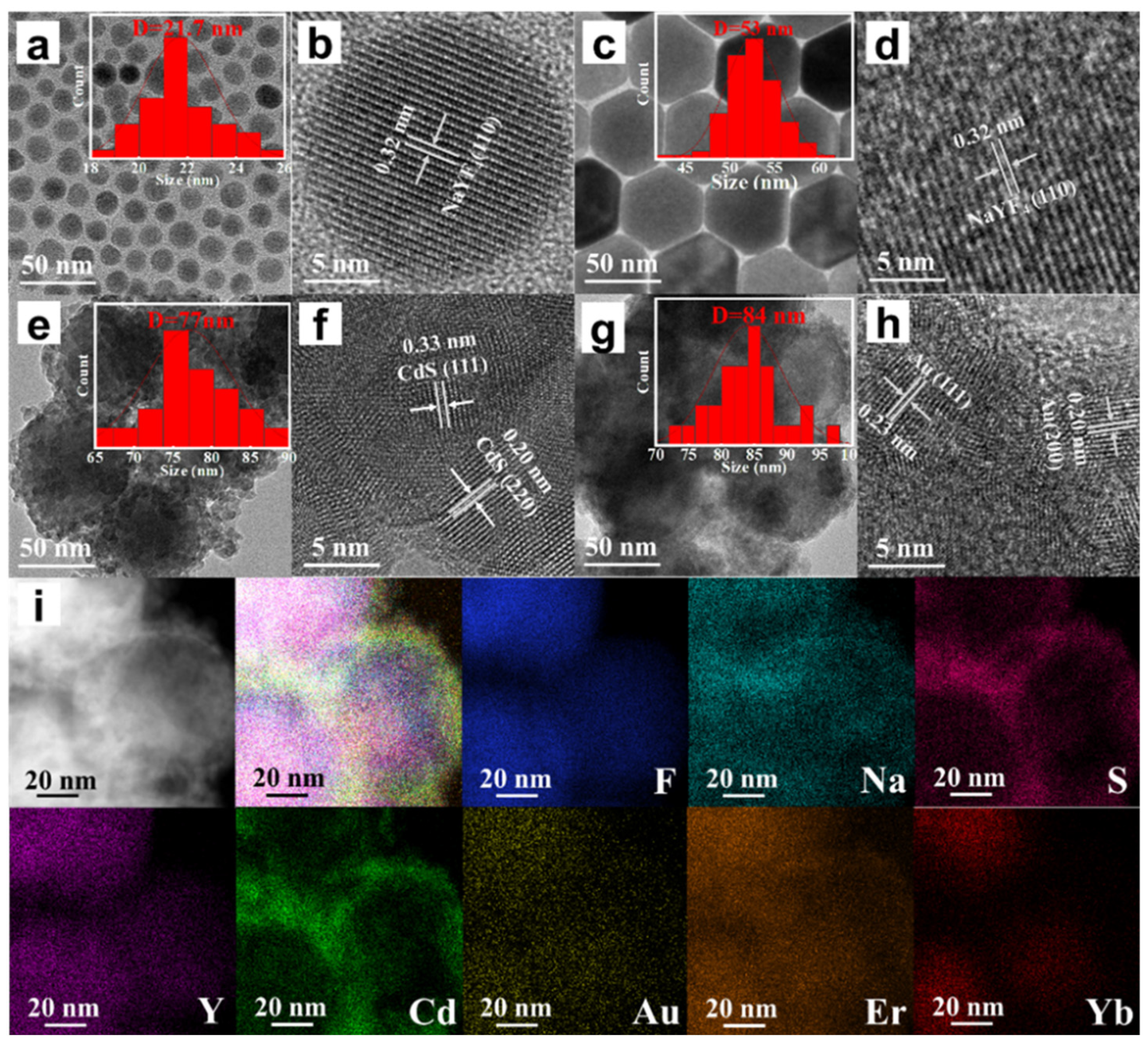 Molecules 30 04215 g002 Molecules 30 04215 g002
