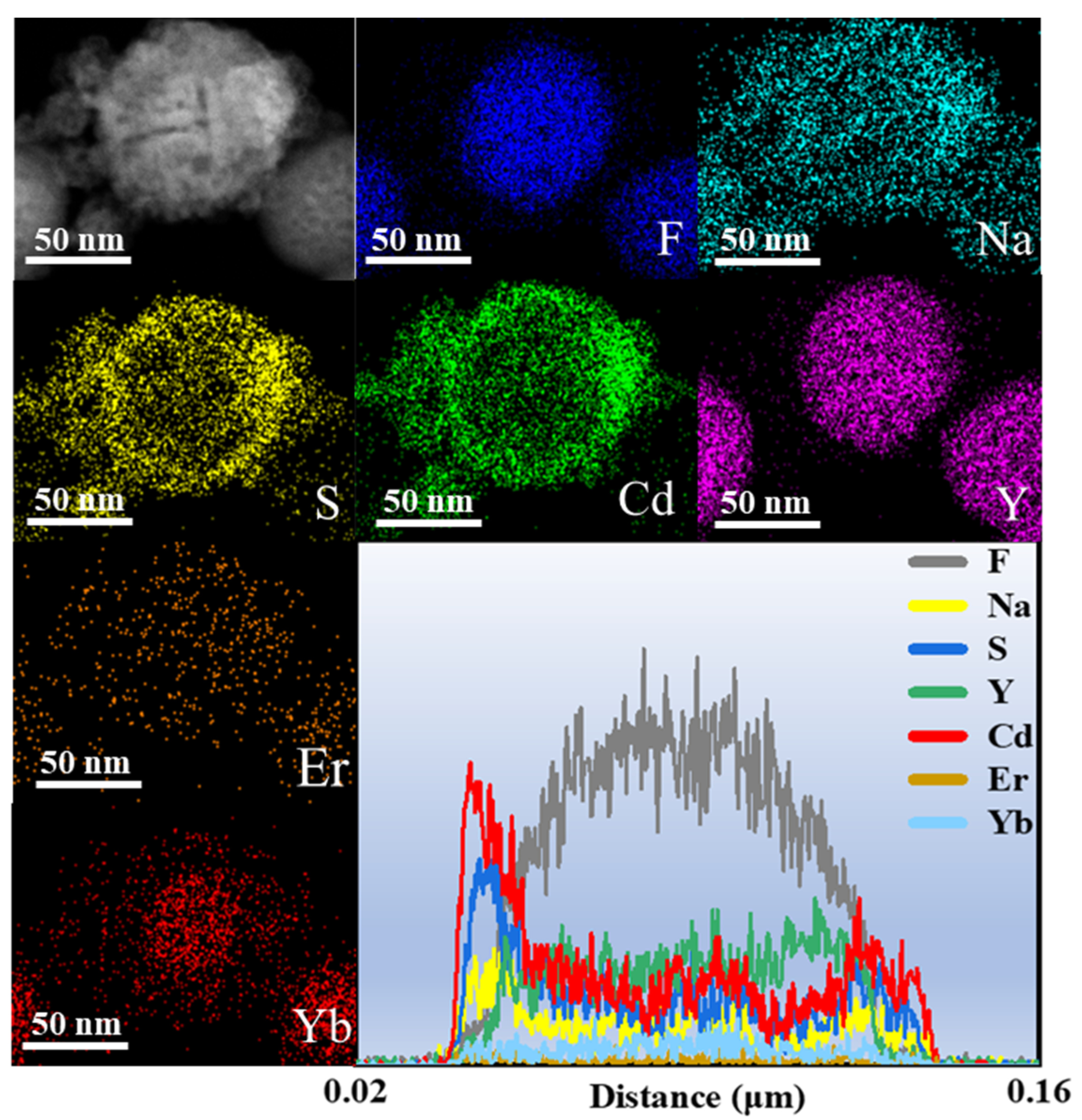 Molecules 30 04215 g003 Molecules 30 04215 g003