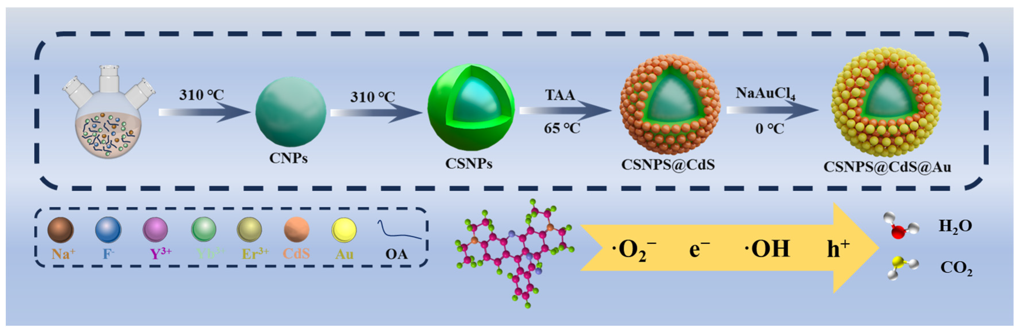 Molecules 30 04215 sch001 Molecules 30 04215 sch001