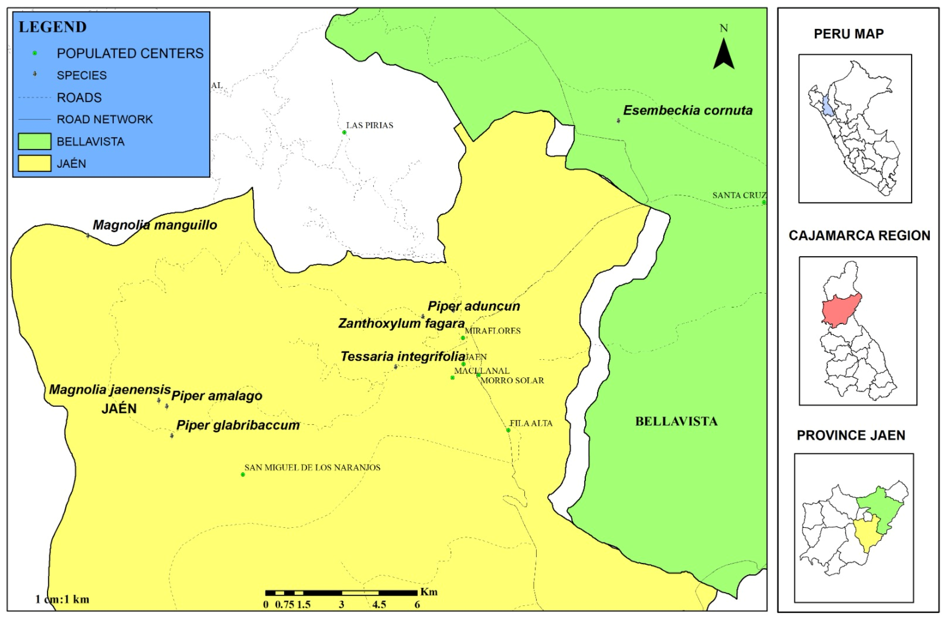 Molecules 30 04236 g004