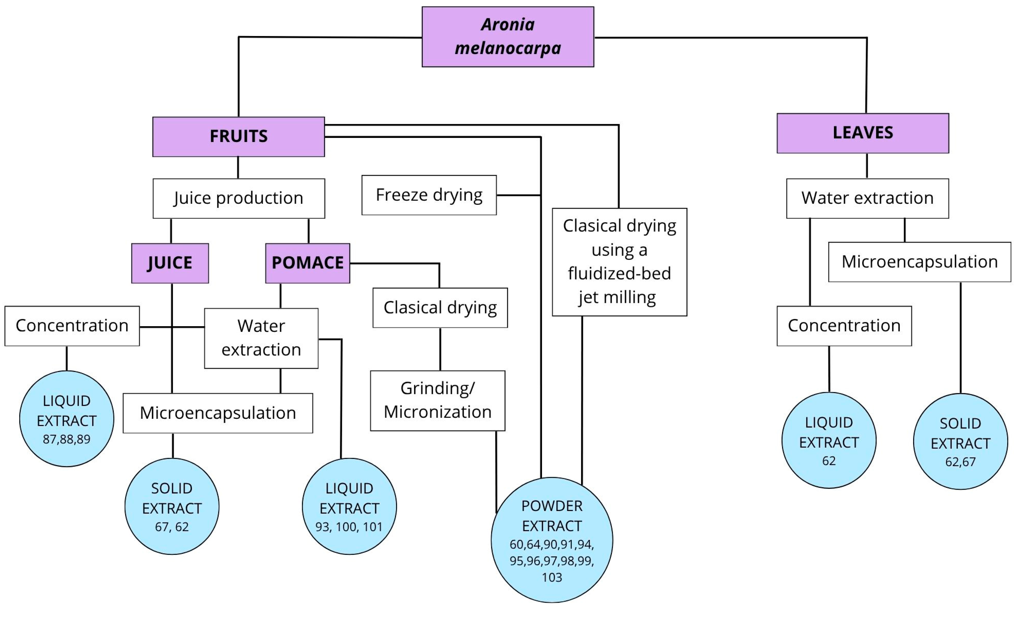 Molecules 30 04237 g001 Molecules 30 04237 g001