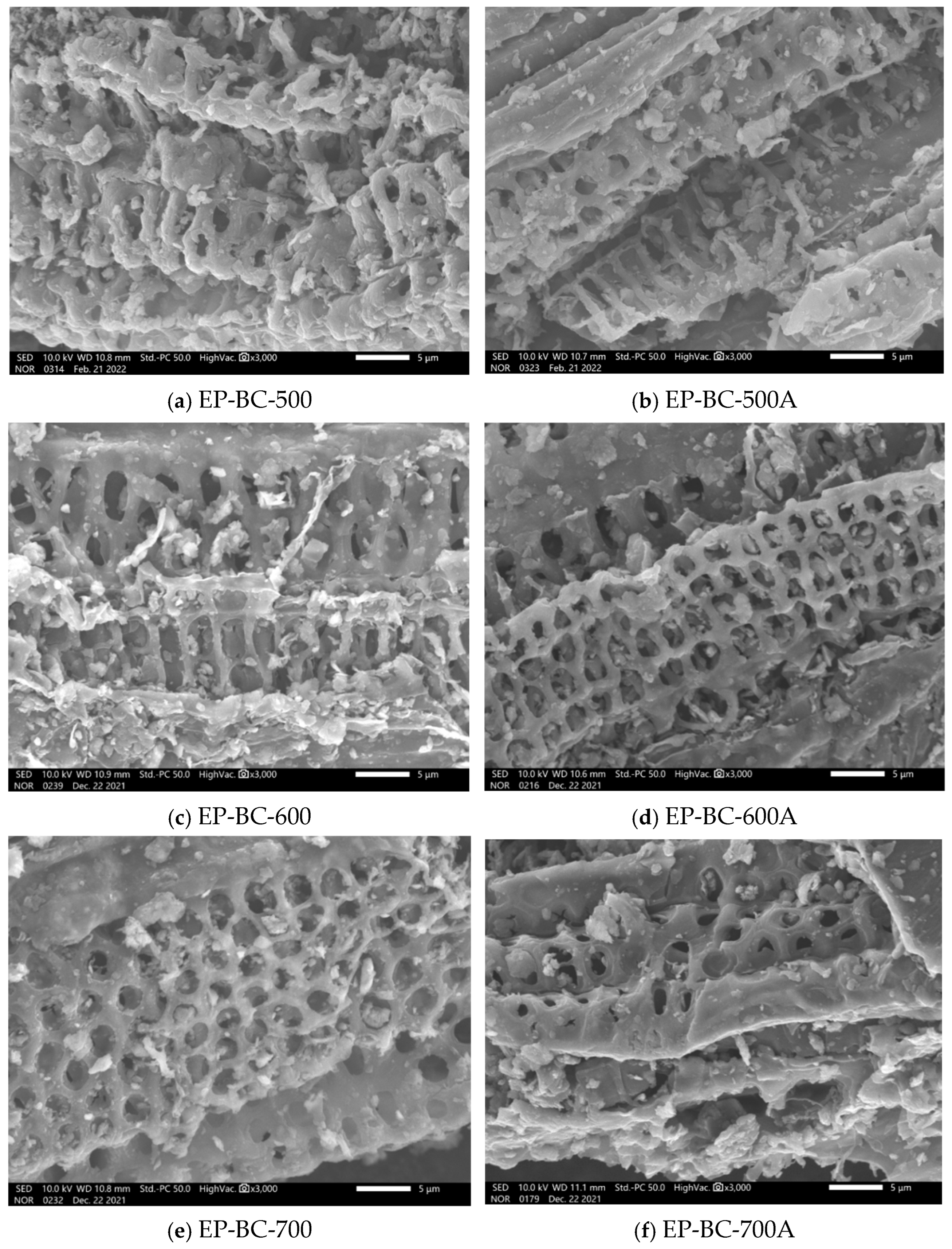 Molecules 30 04238 g004 Molecules 30 04238 g004