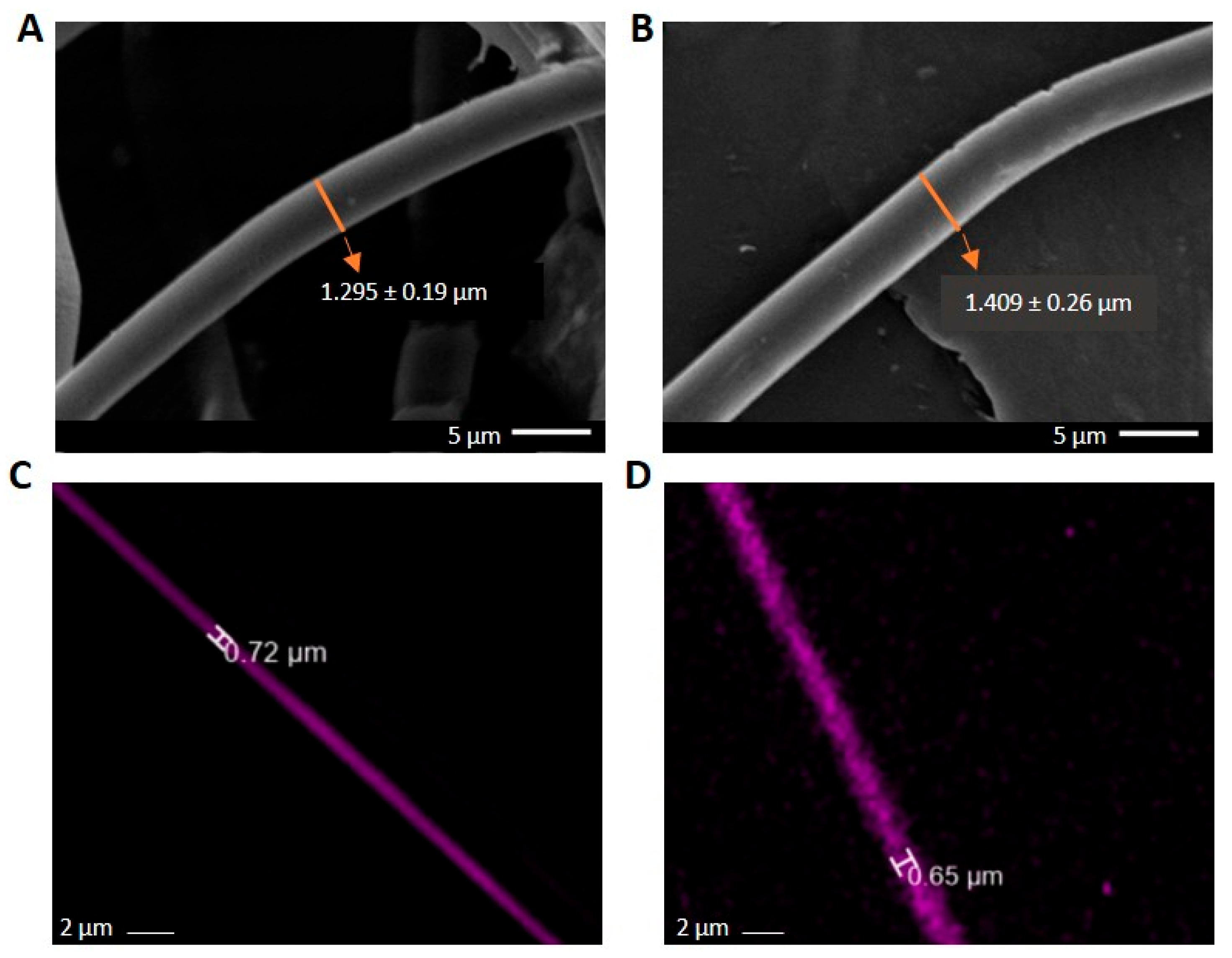 Molecules 30 04241 g003 Molecules 30 04241 g003