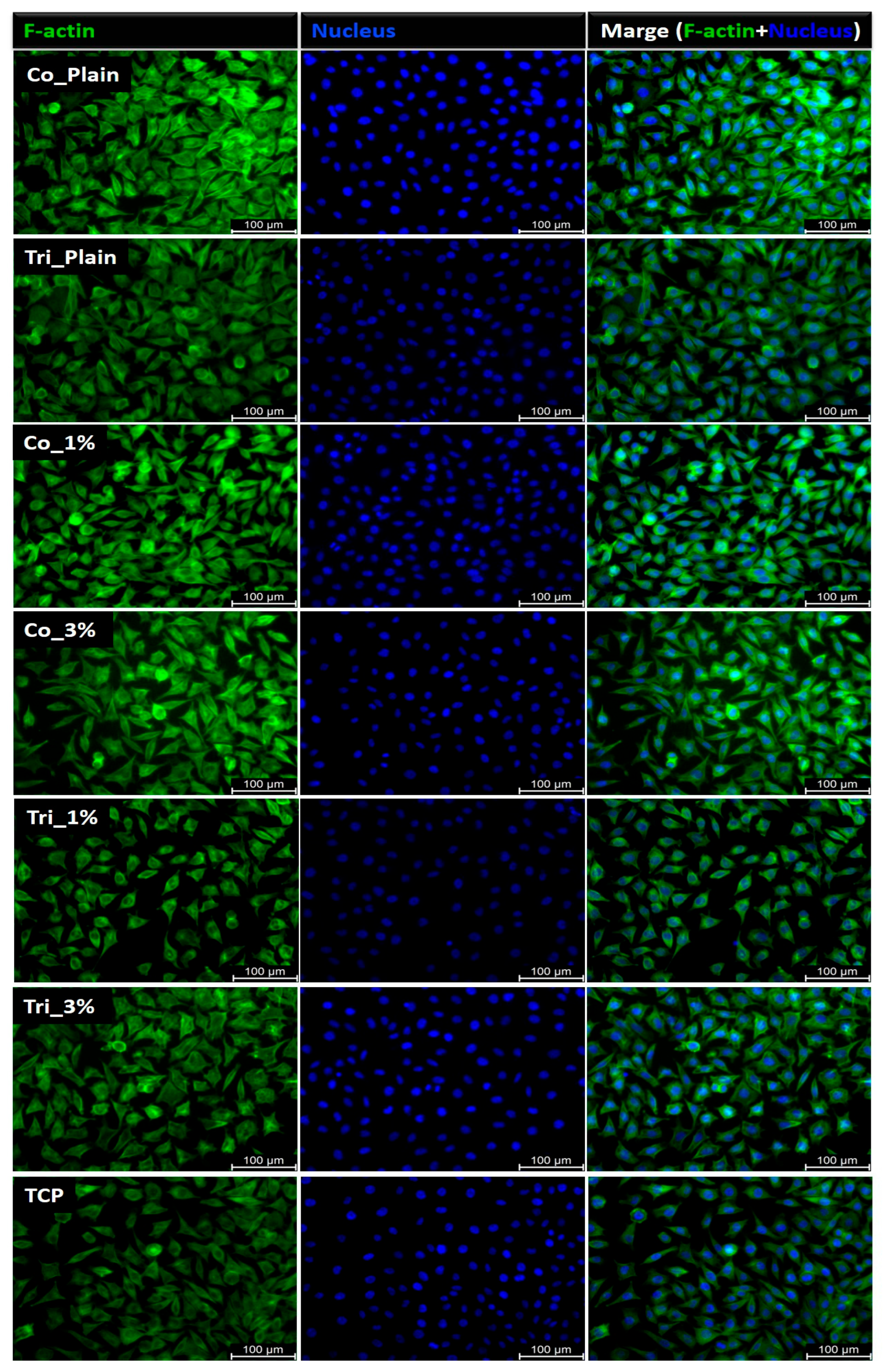 Molecules 30 04241 g007 Molecules 30 04241 g007