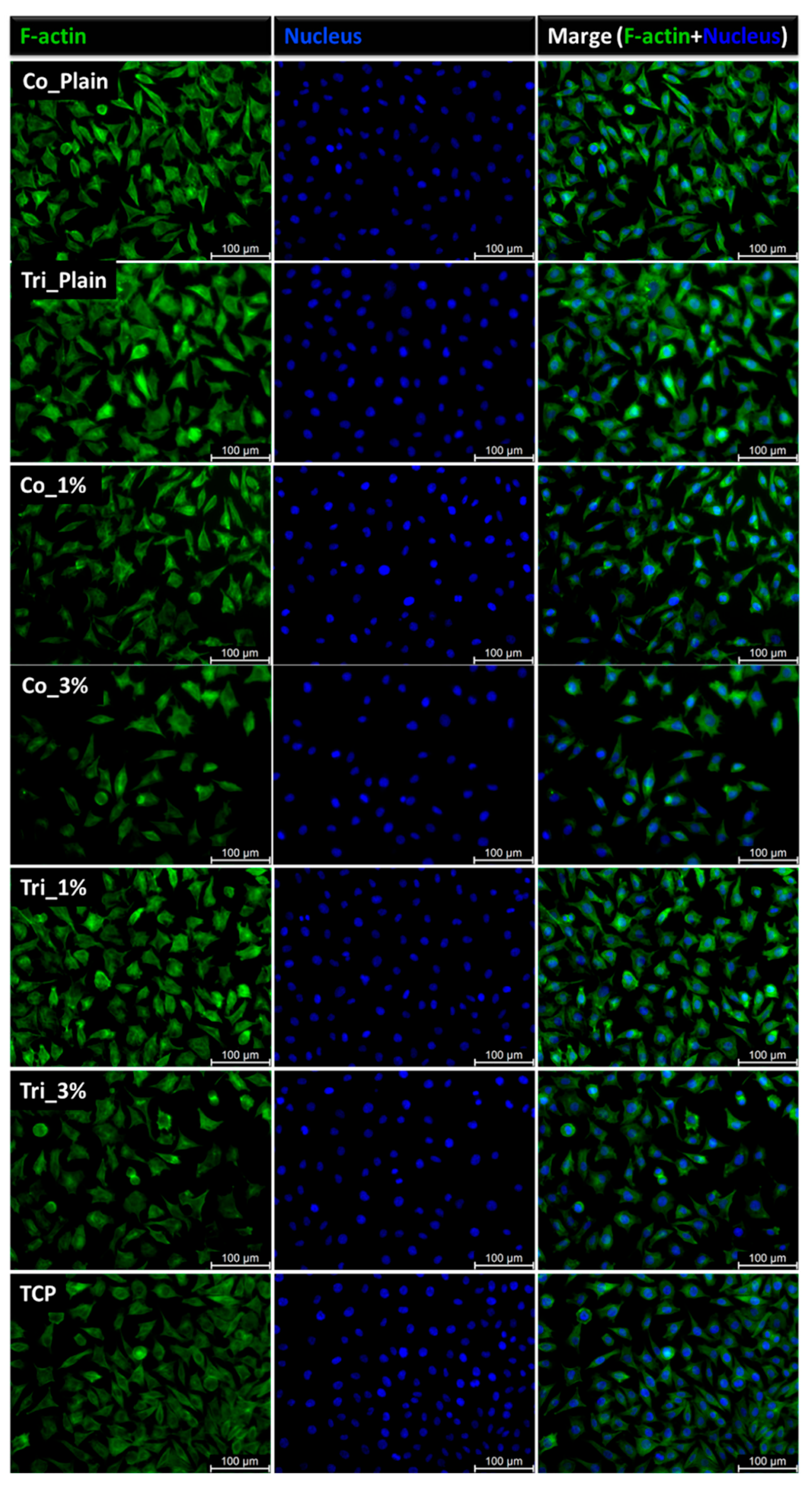 Molecules 30 04241 g008 Molecules 30 04241 g008