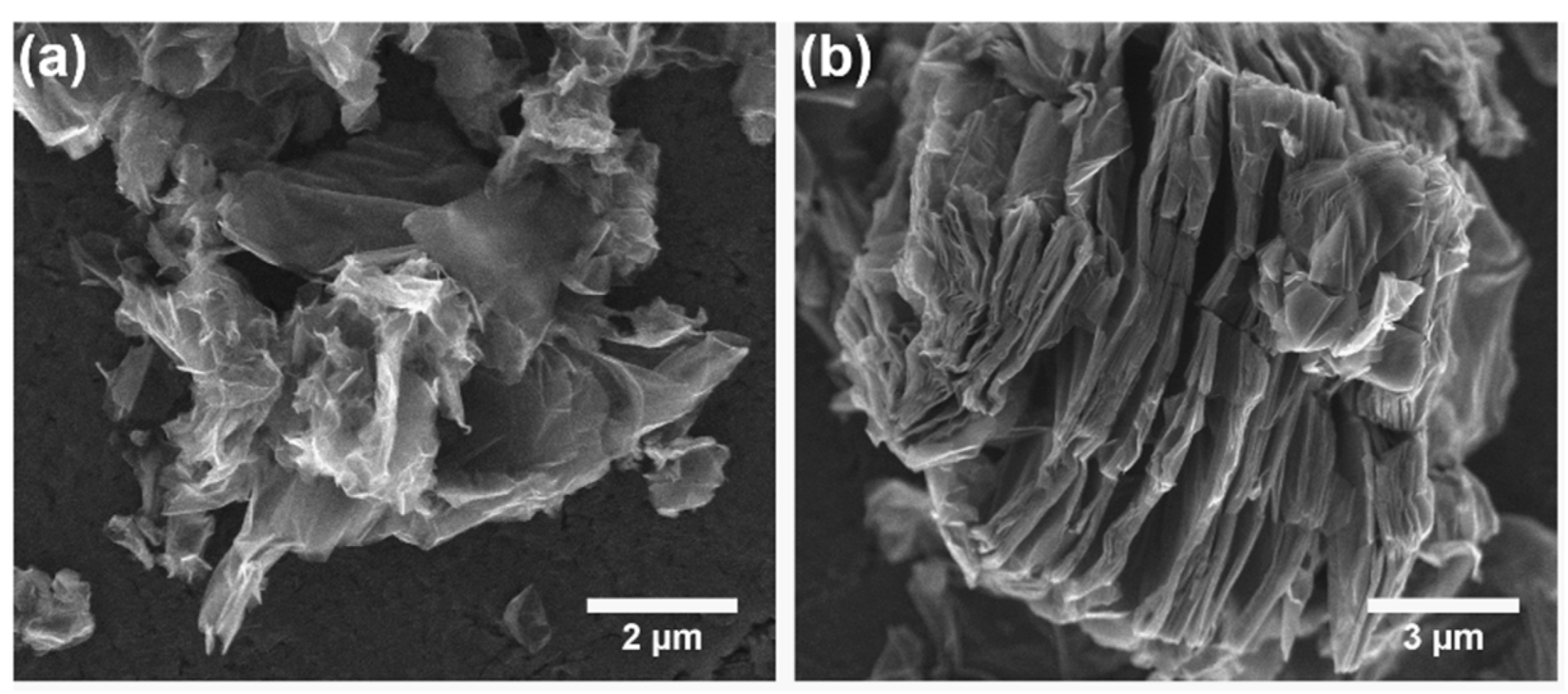 Molecules 30 04242 g004 Molecules 30 04242 g004