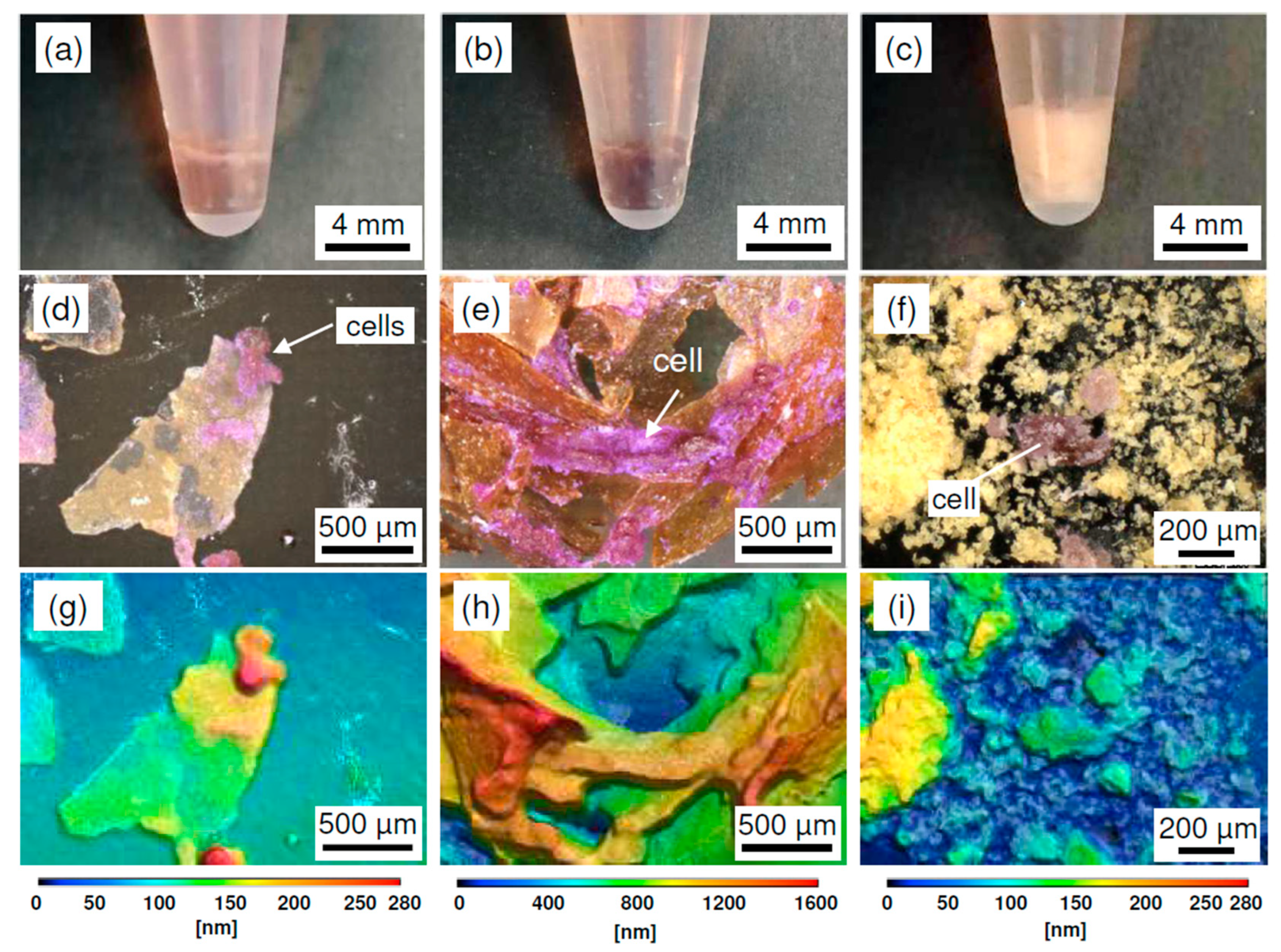 Molecules 30 04243 g004