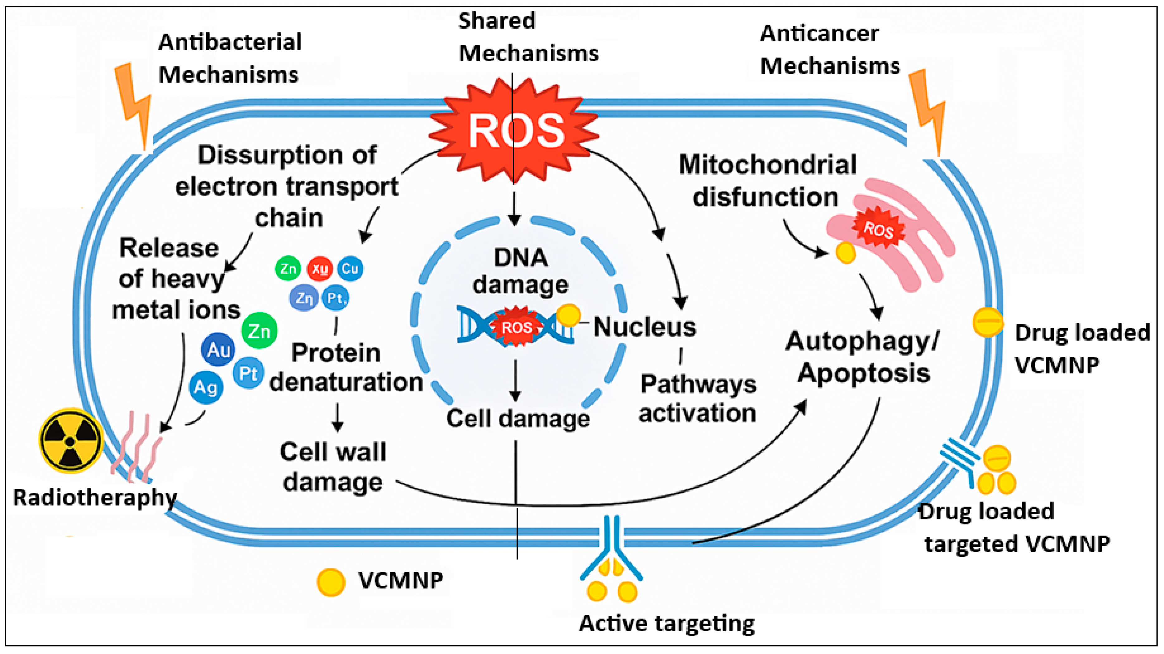 Molecules 30 04248 g003