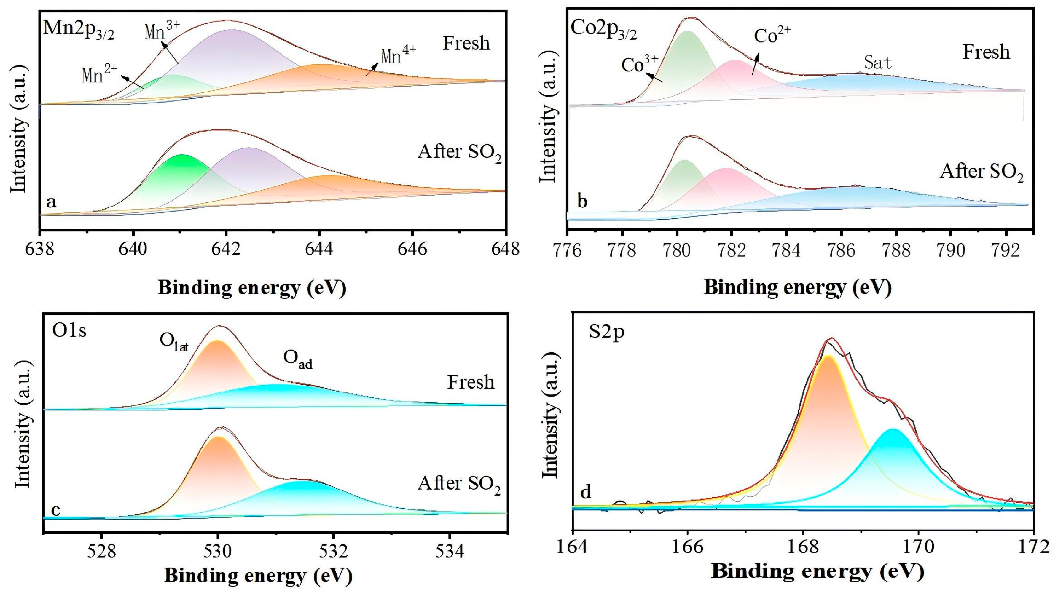Molecules 30 04253 g008 Molecules 30 04253 g008