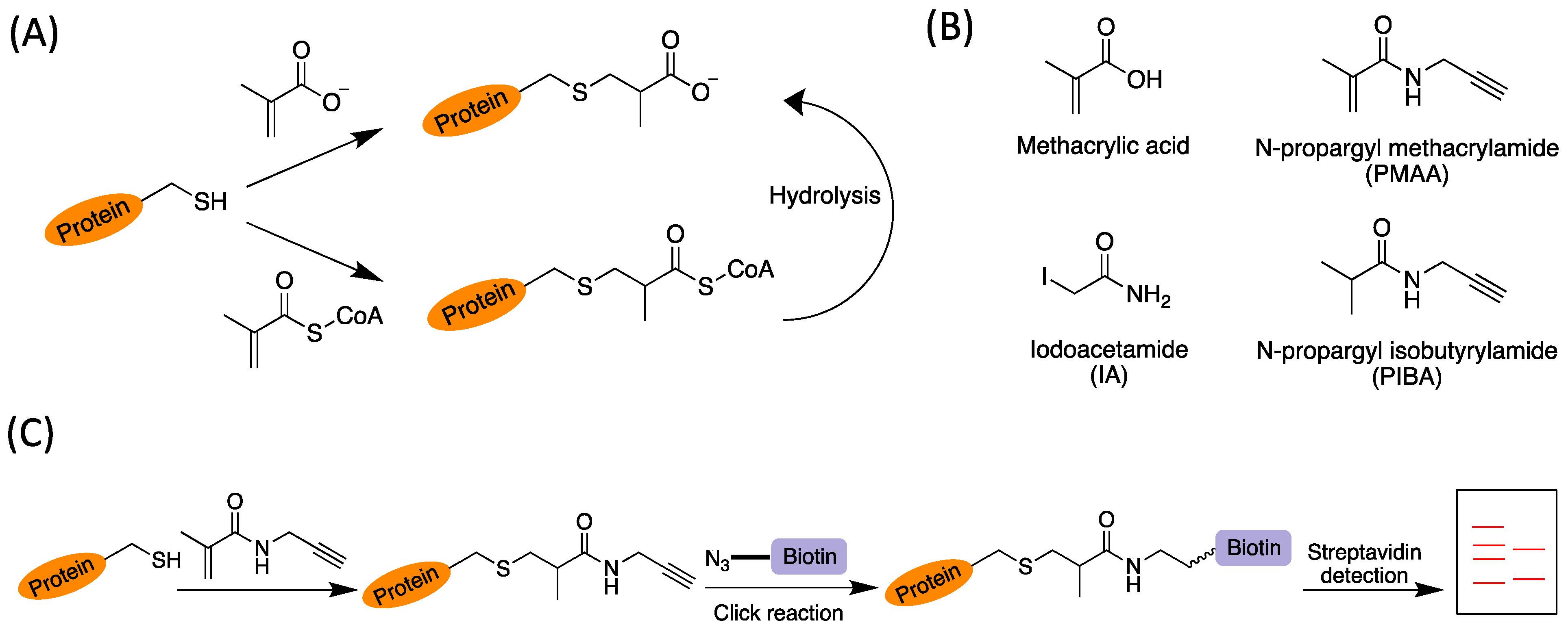 Molecules 30 04255 g001