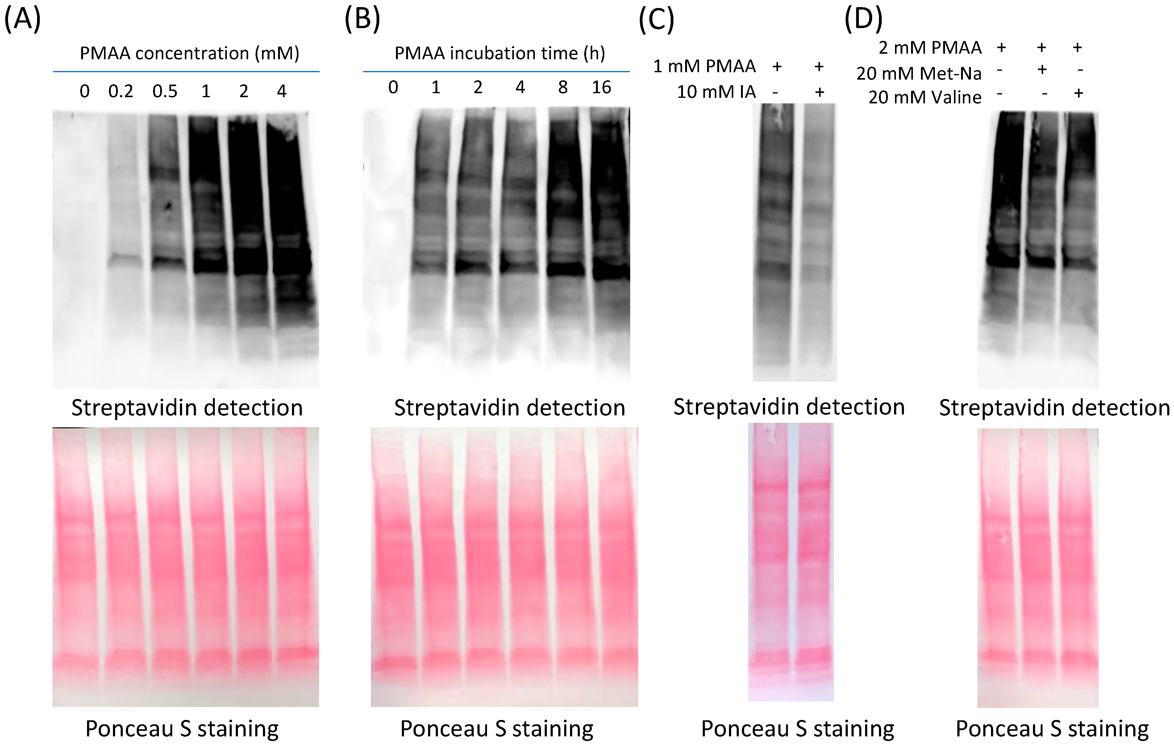 Molecules 30 04255 g002