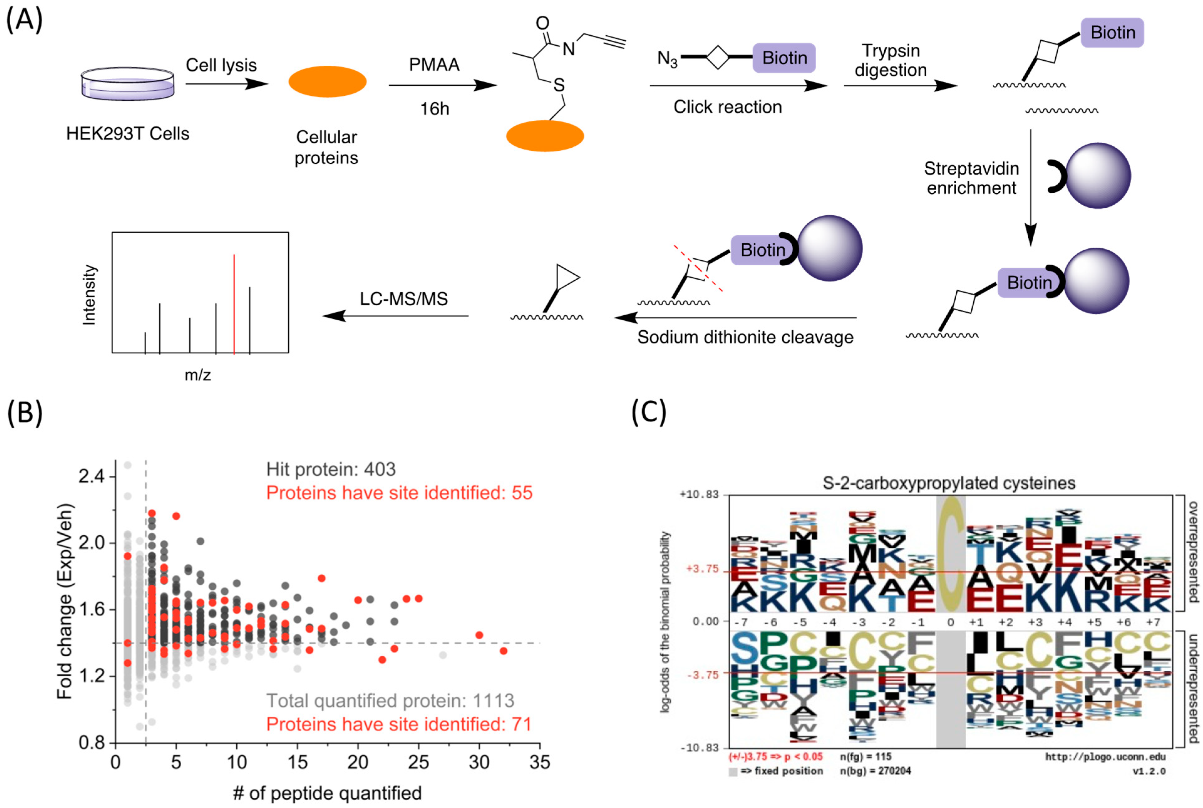 Molecules 30 04255 g004