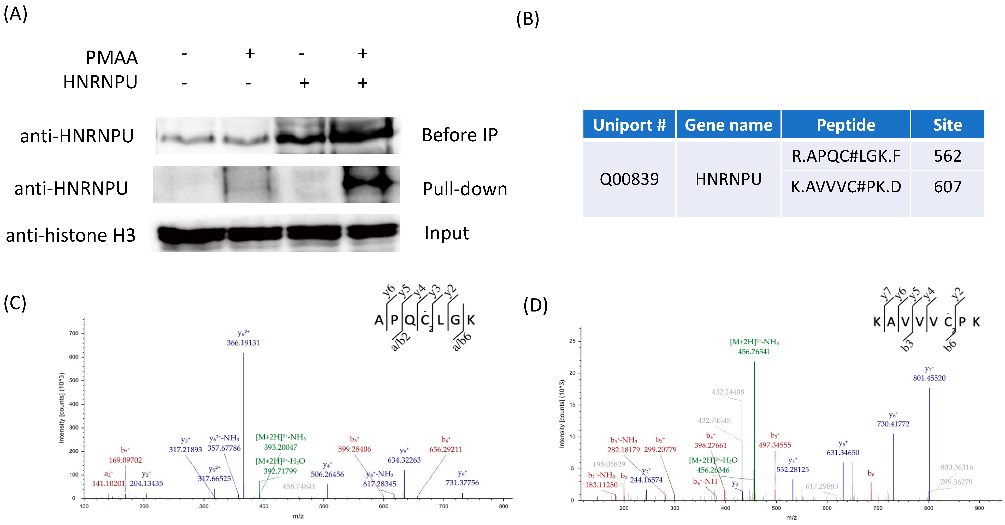 Molecules 30 04255 g005