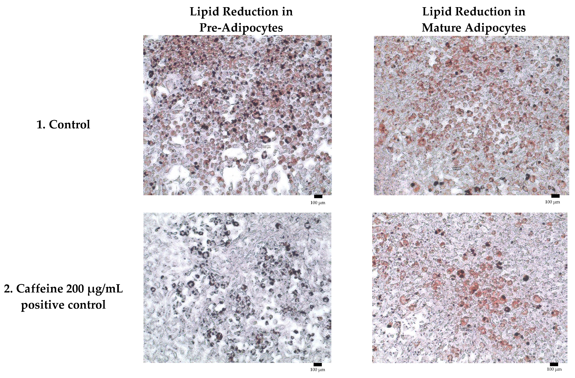 Molecules 30 04256 g004a Molecules 30 04256 g004a