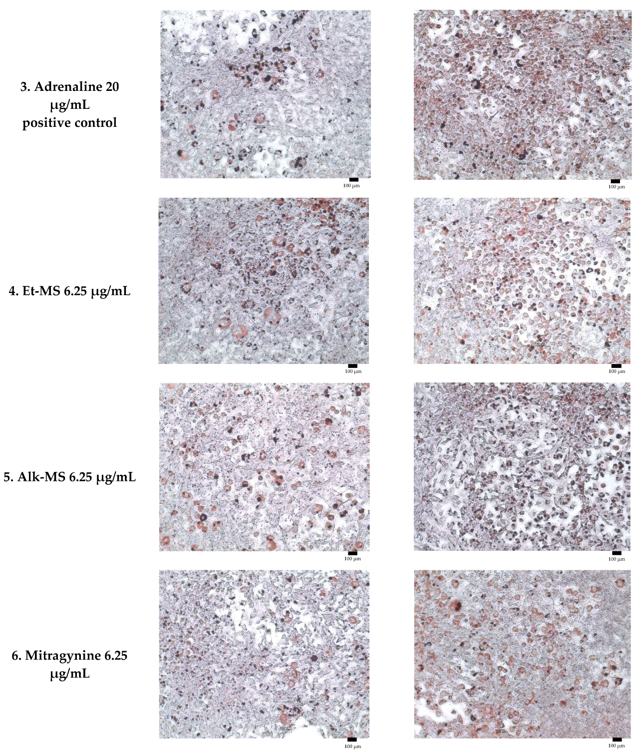 Molecules 30 04256 g004b Molecules 30 04256 g004b