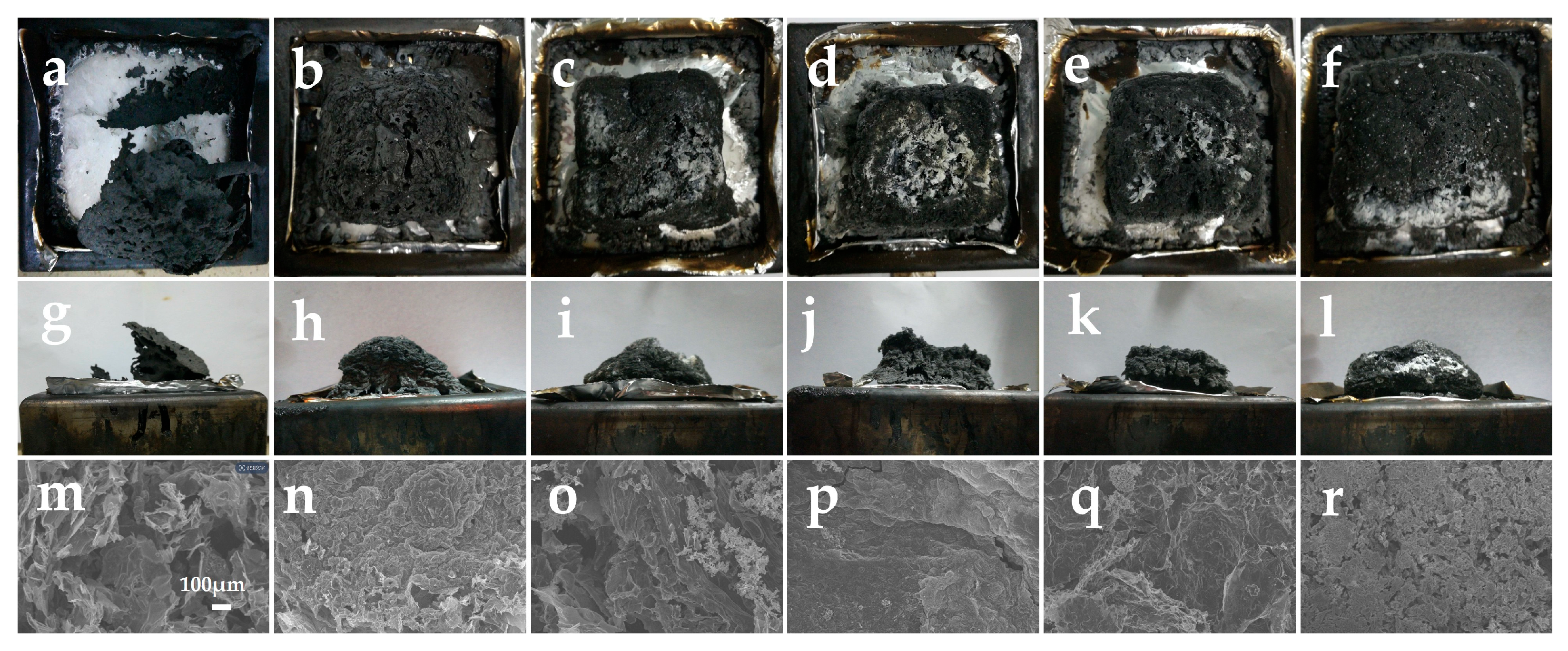 Molecules 30 04269 g006 Molecules 30 04269 g006