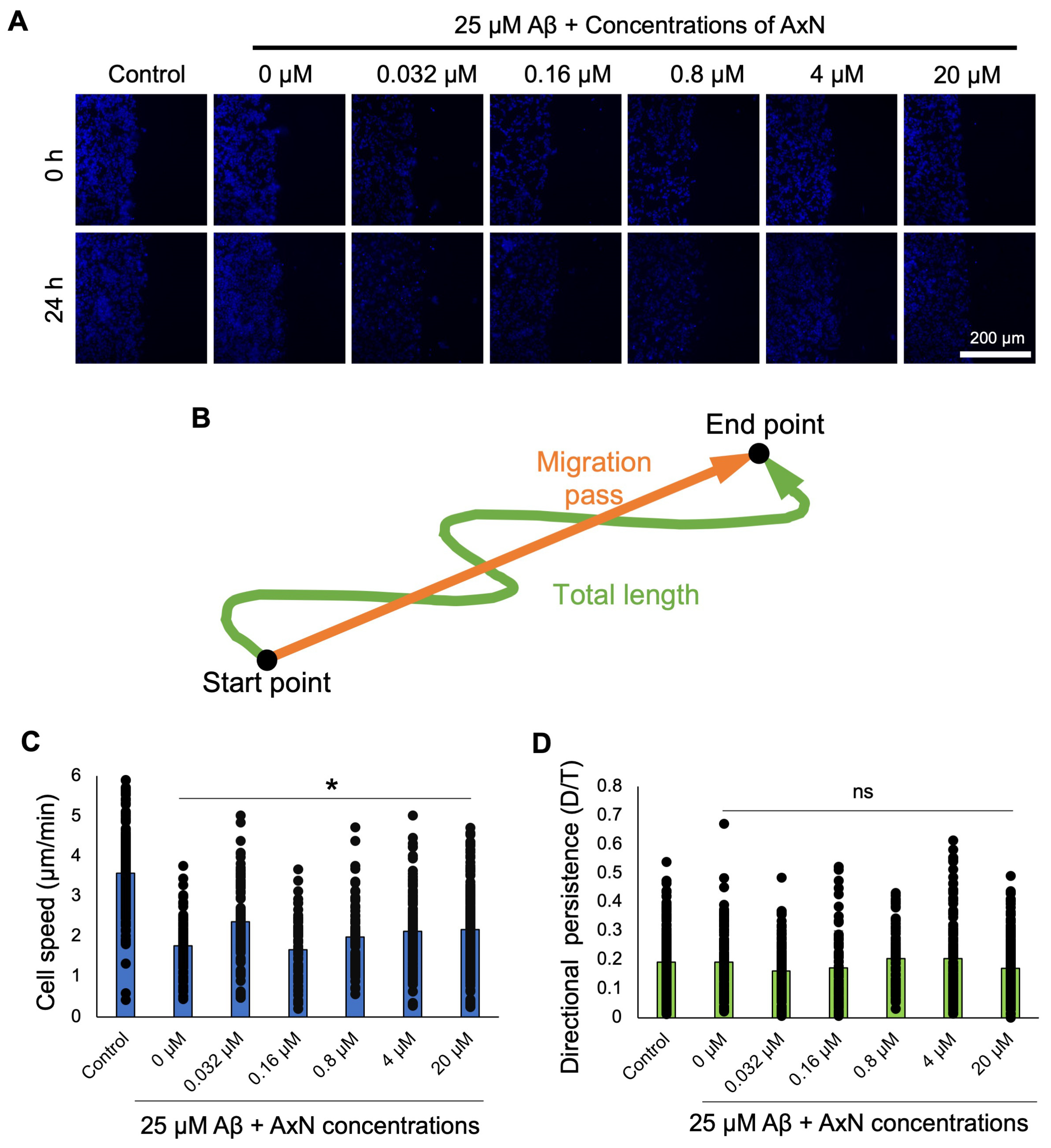 Molecules 30 04271 g006 Molecules 30 04271 g006