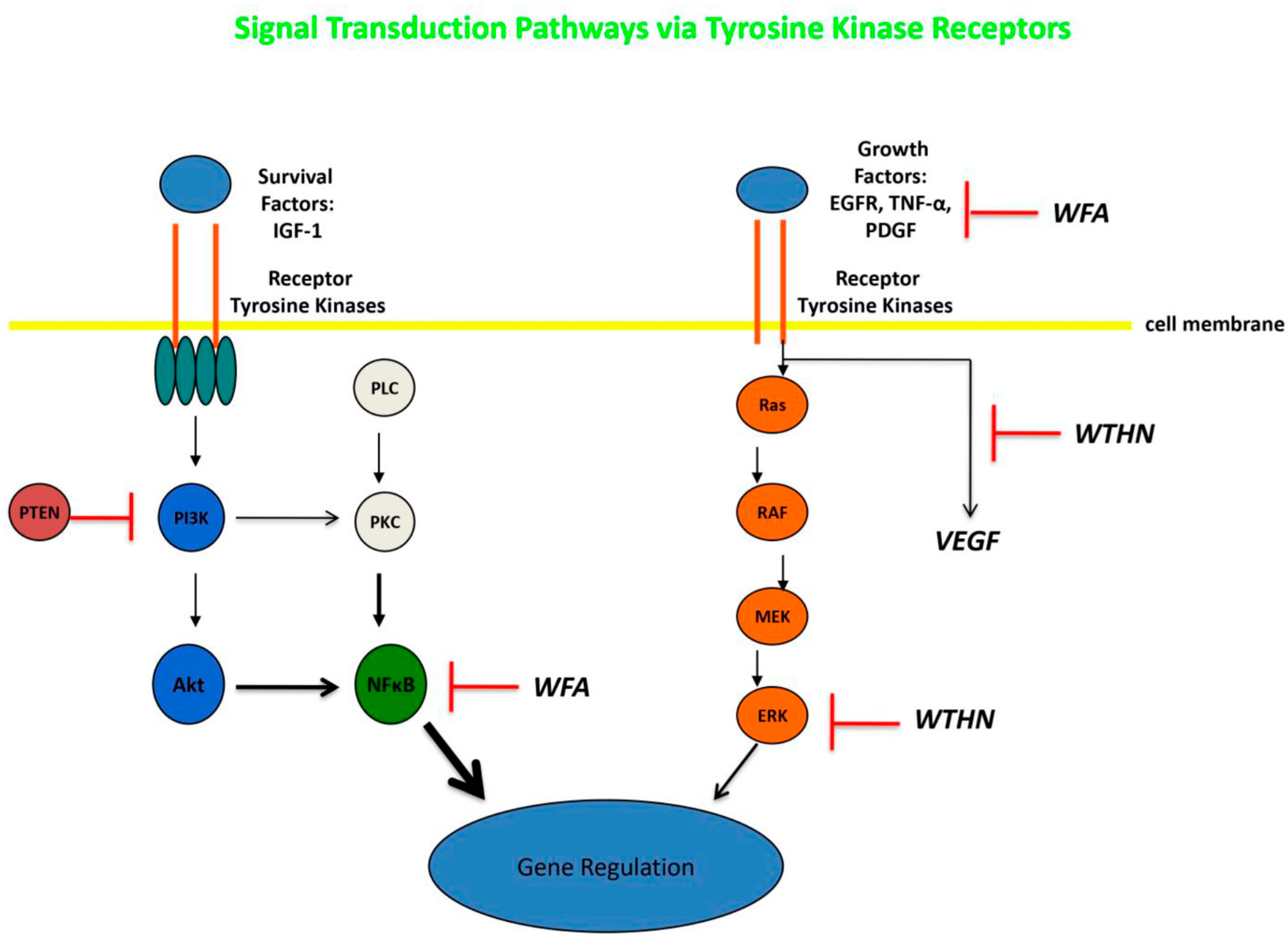 Molecules 30 04272 g003 Molecules 30 04272 g003