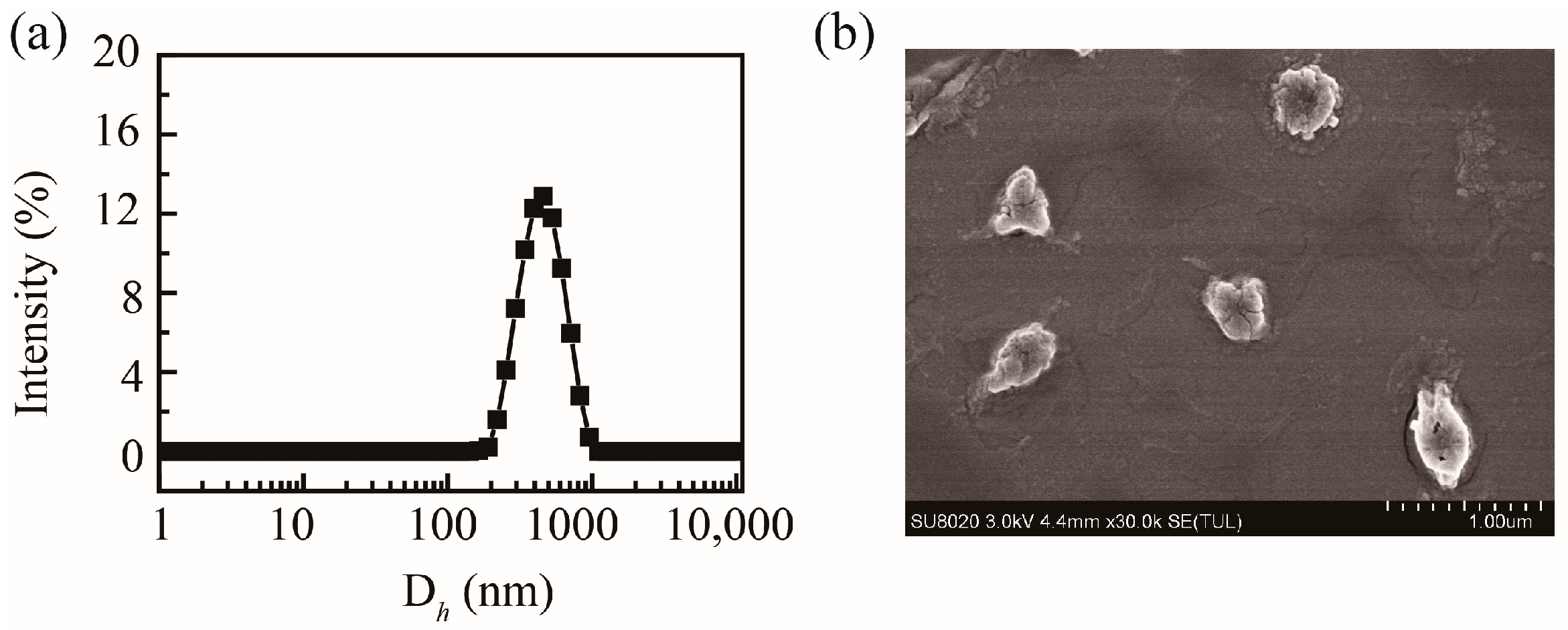 Molecules 30 04276 g003 Molecules 30 04276 g003