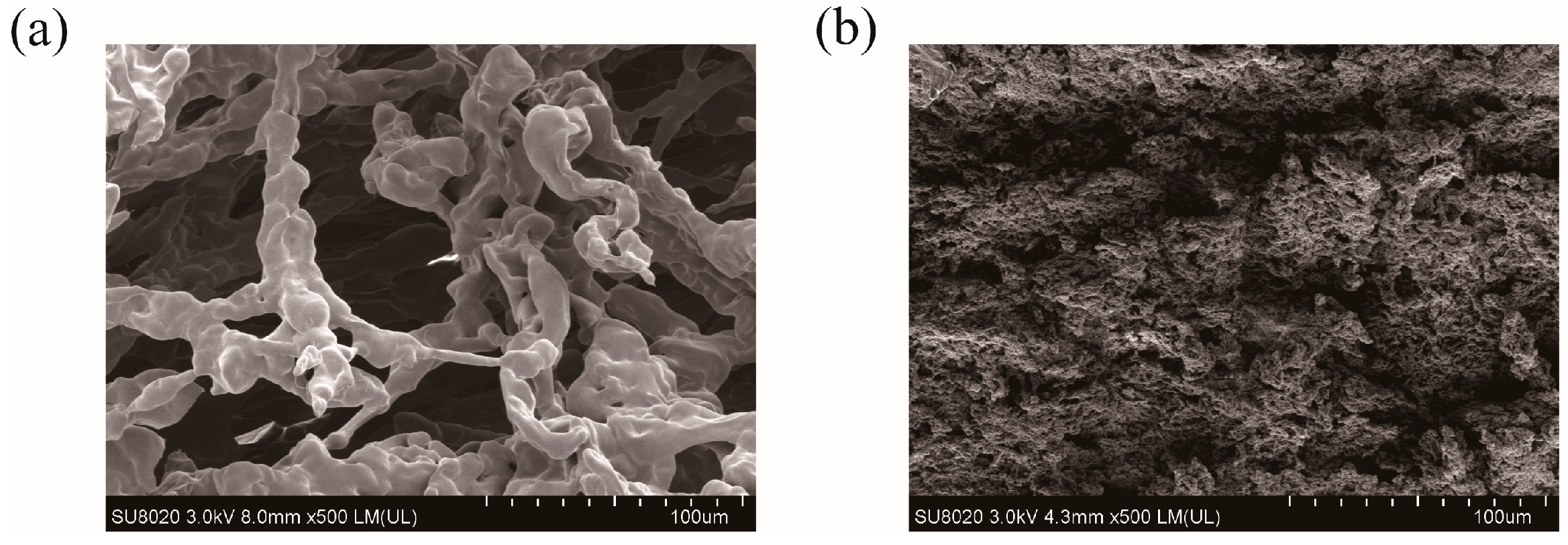 Molecules 30 04276 g007 Molecules 30 04276 g007