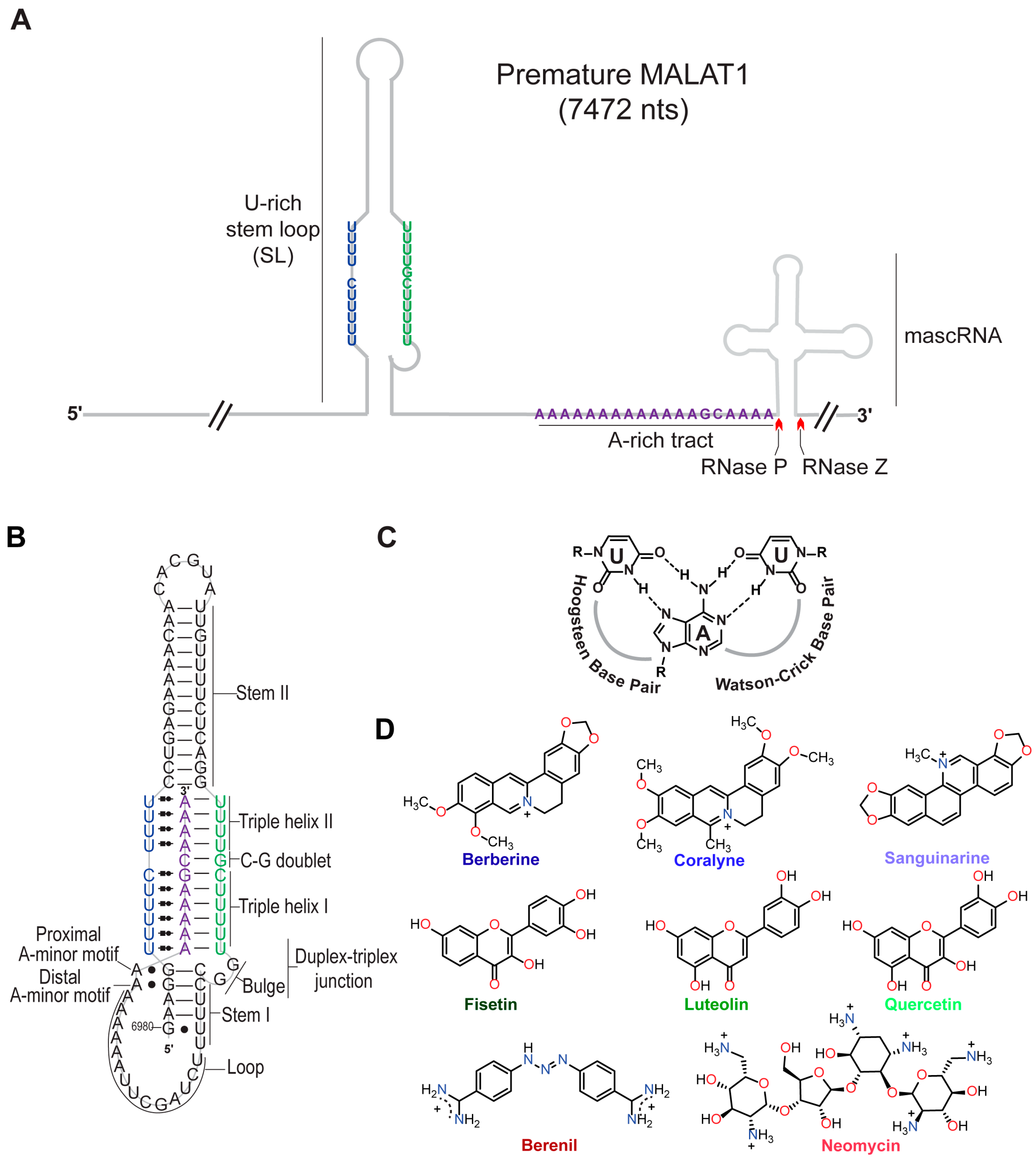 Molecules 30 04277 g001 Molecules 30 04277 g001