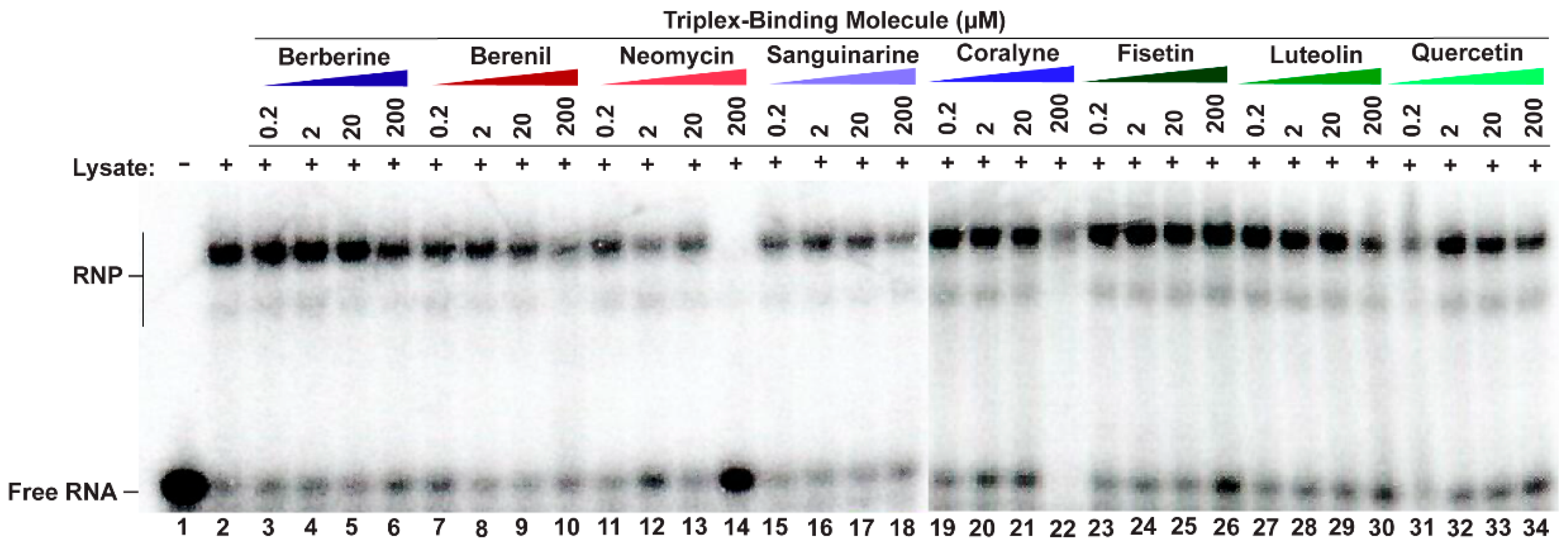 Molecules 30 04277 g003 Molecules 30 04277 g003
