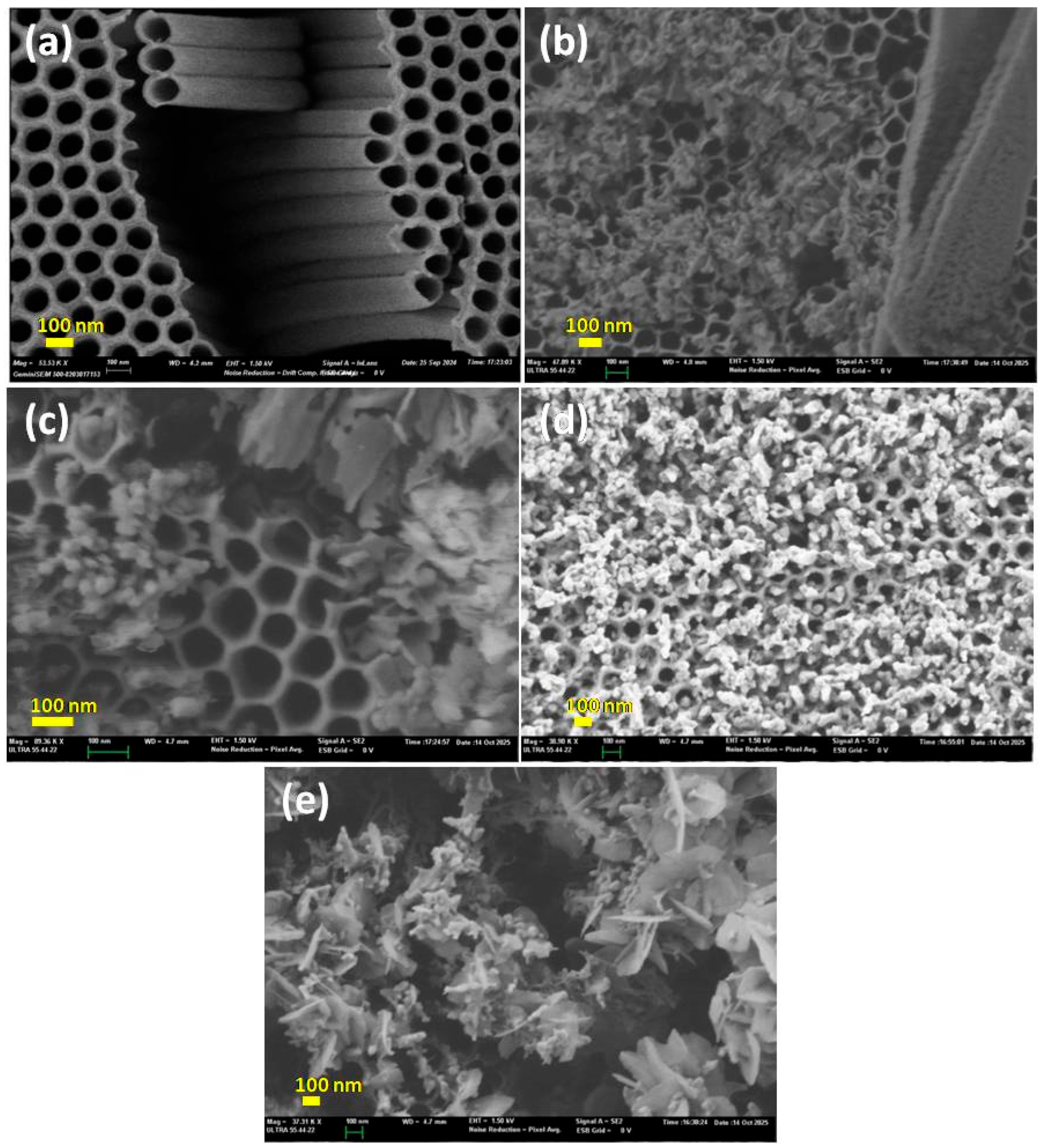 Molecules 30 04283 g004 Molecules 30 04283 g004