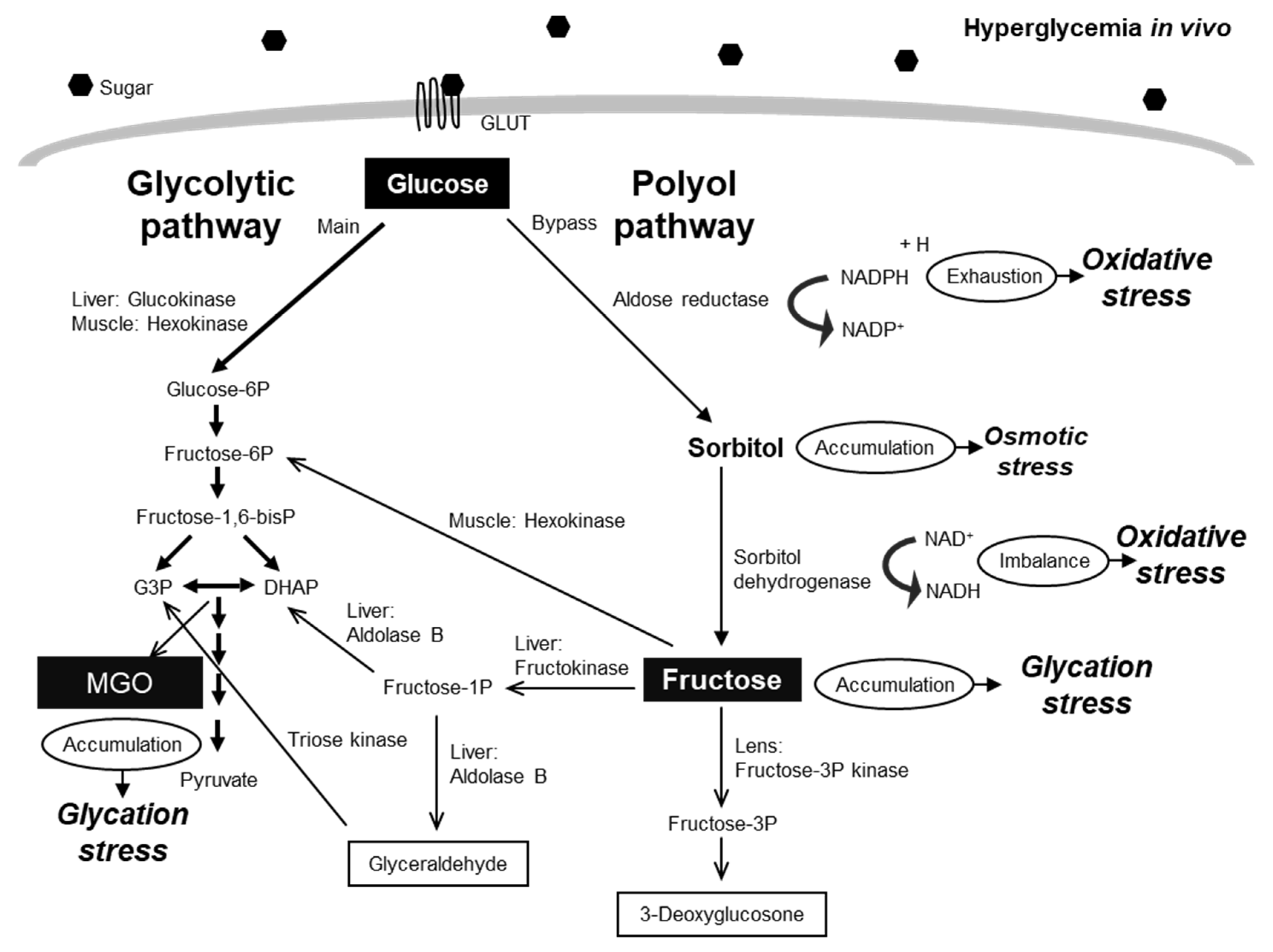 Molecules 30 04286 g001 Molecules 30 04286 g001