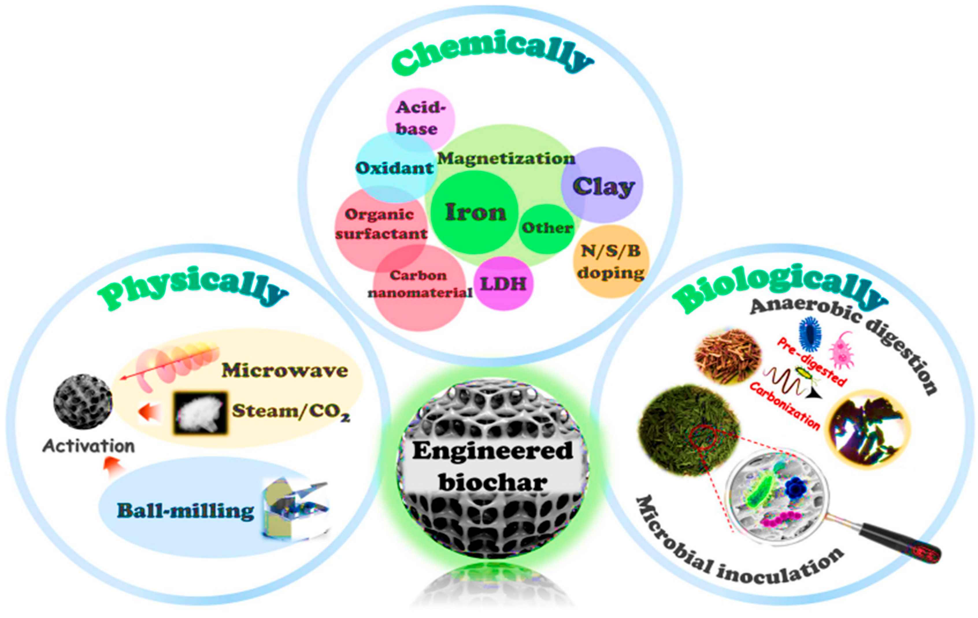 Molecules 30 04288 g007 Molecules 30 04288 g007