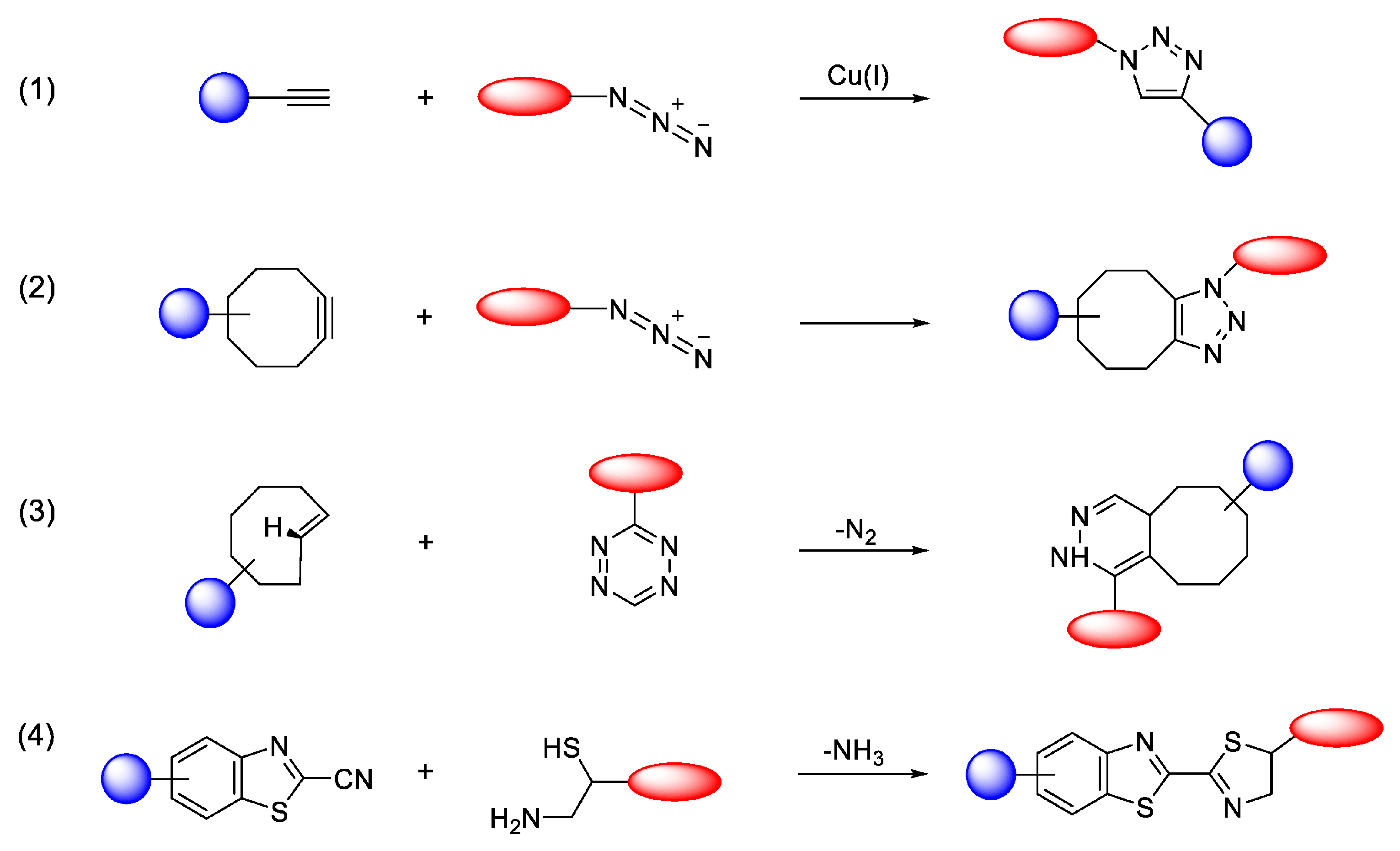Molecules 30 04290 g003 Molecules 30 04290 g003