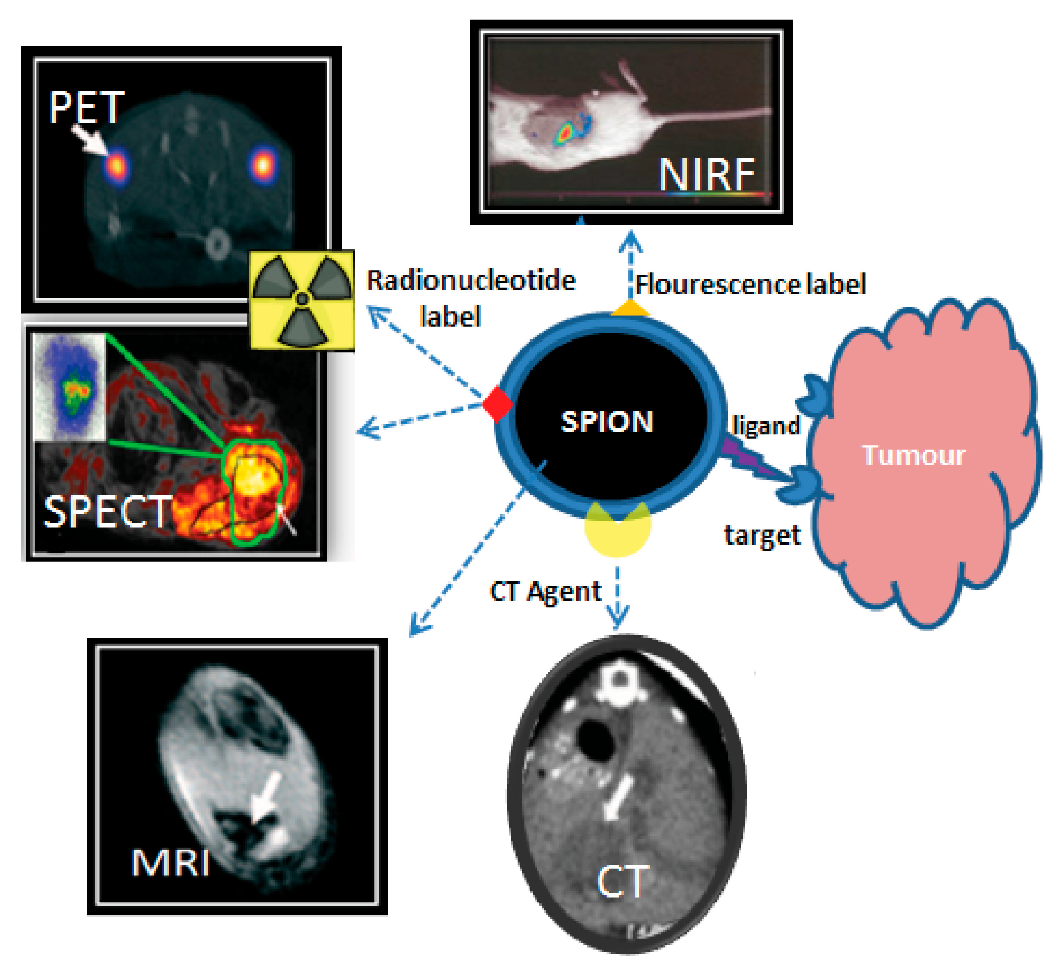 Molecules 30 04290 g006 Molecules 30 04290 g006