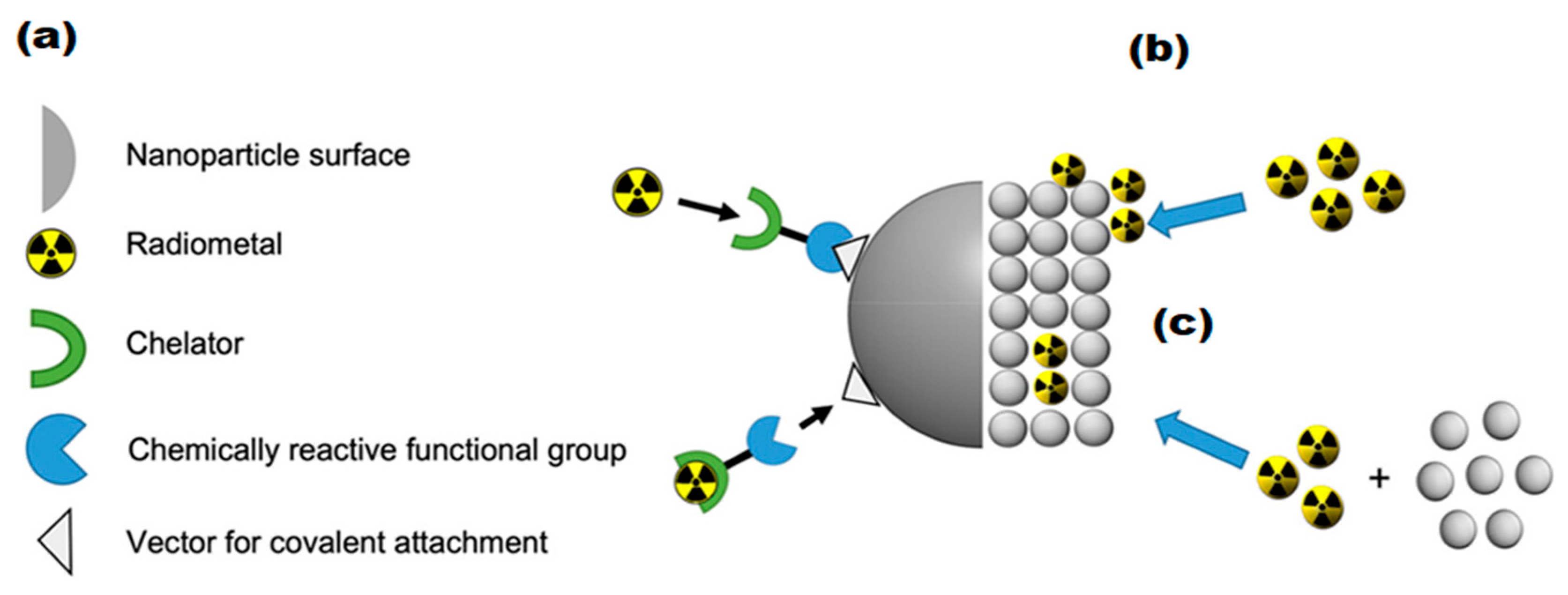 Molecules 30 04290 g007 Molecules 30 04290 g007