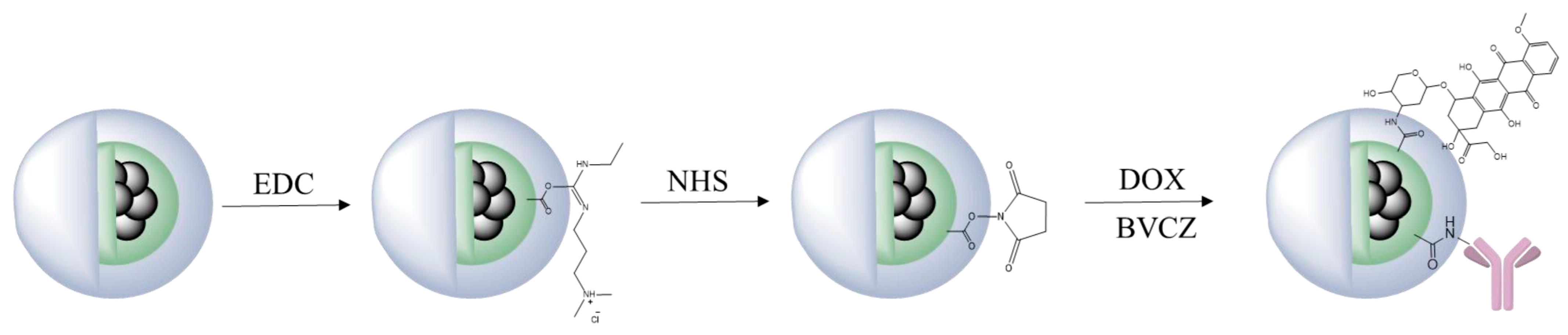 Molecules 30 04290 g008 Molecules 30 04290 g008