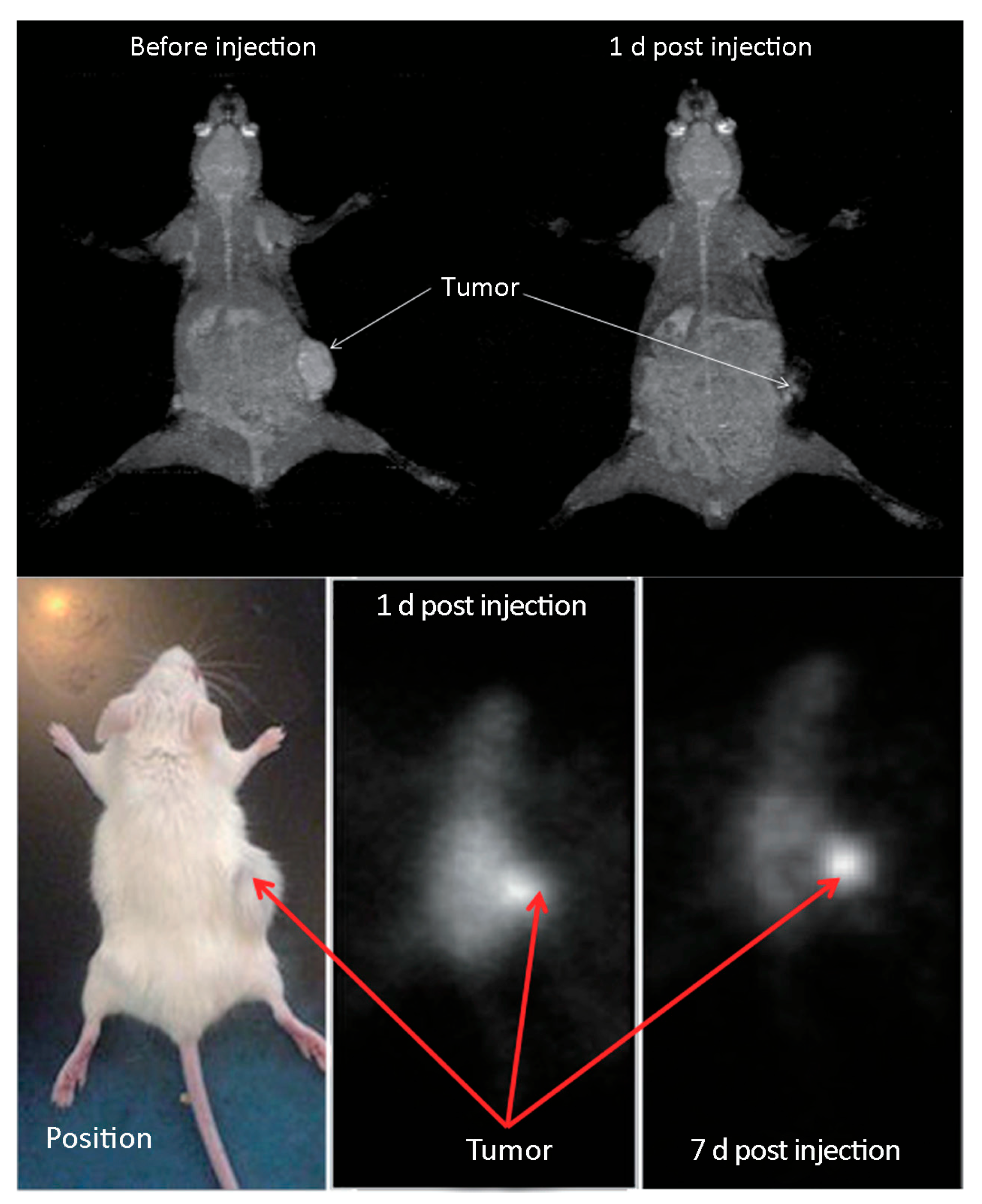 Molecules 30 04290 g011 Molecules 30 04290 g011