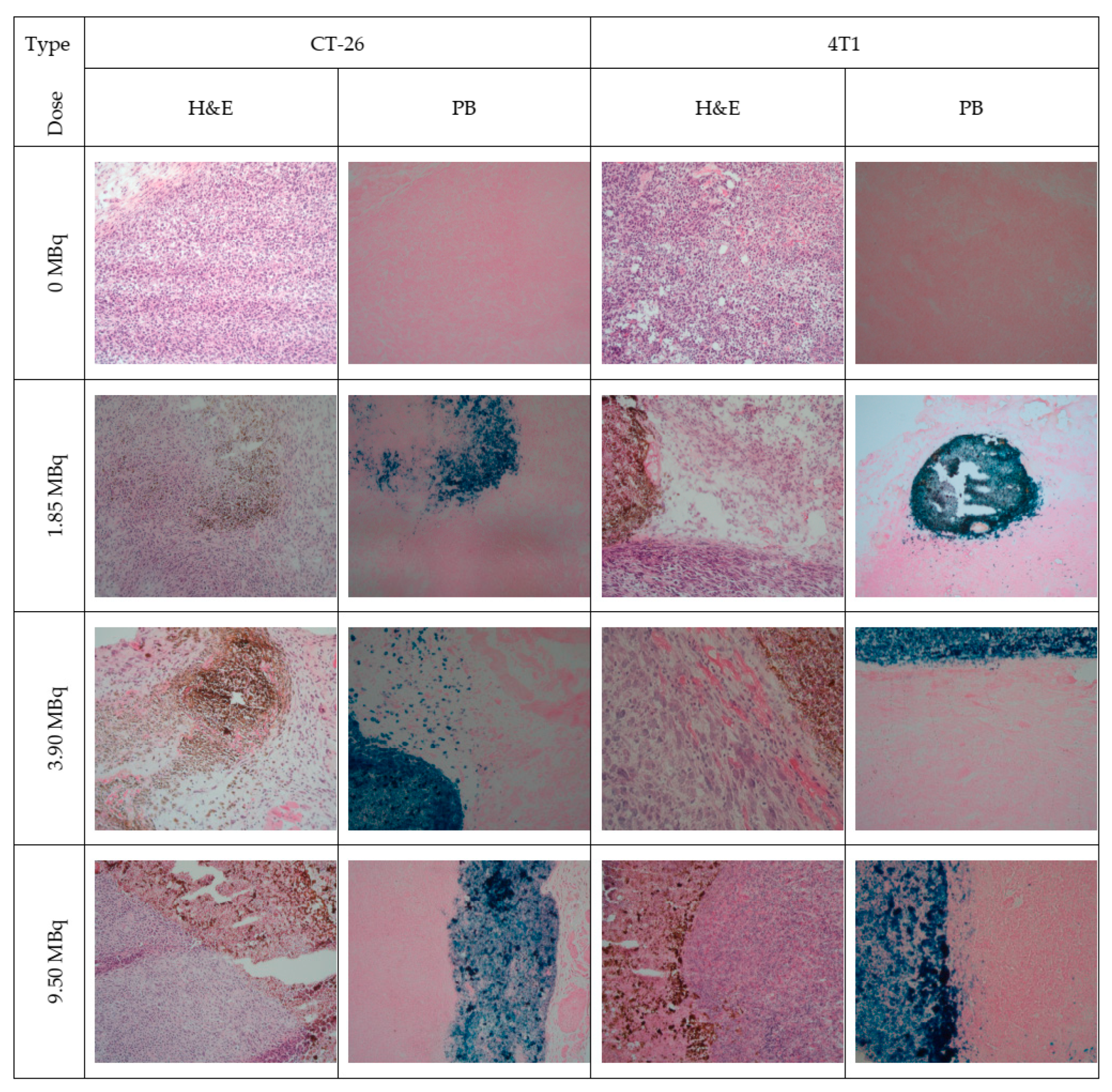 Molecules 30 04290 g013 Molecules 30 04290 g013