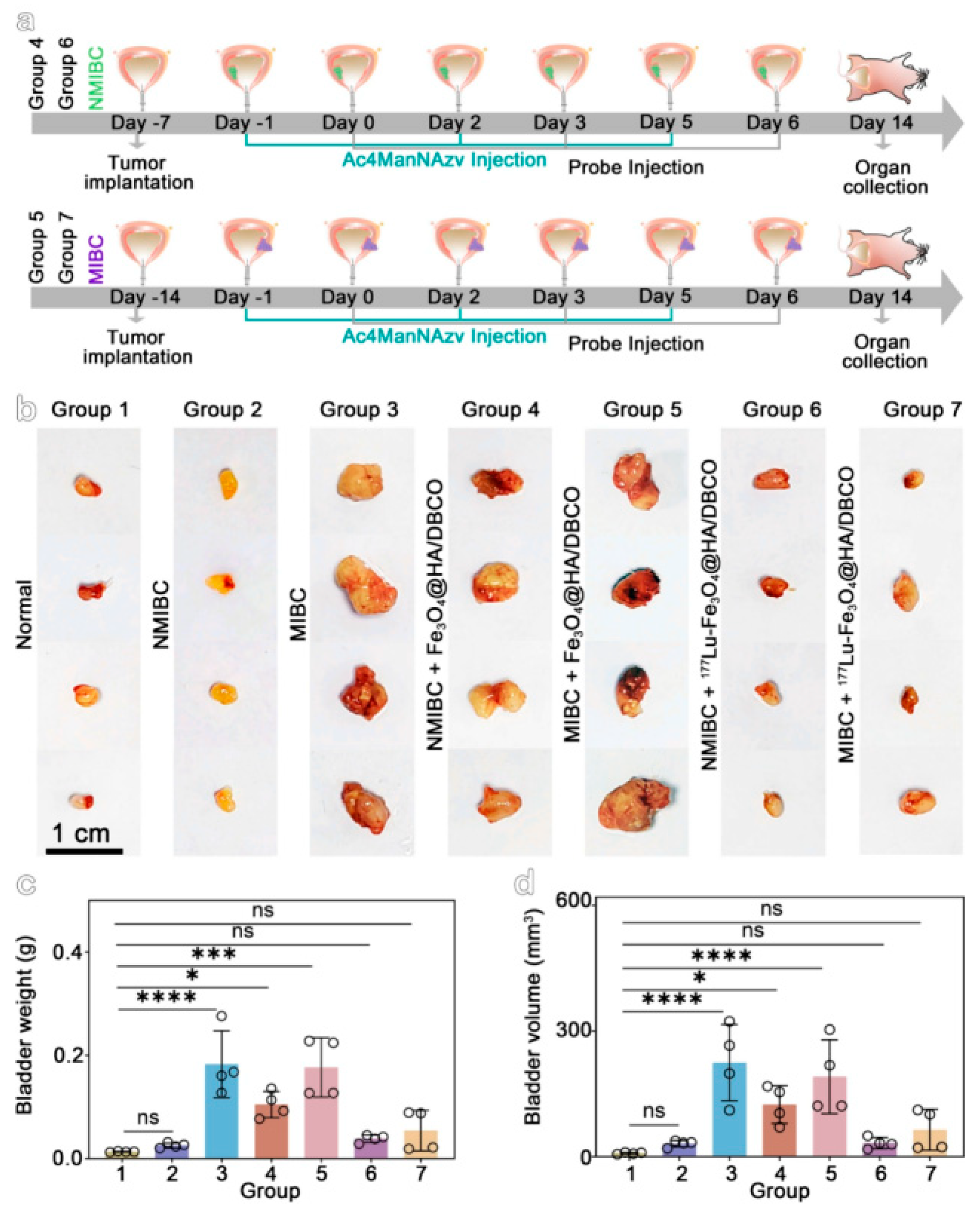 Molecules 30 04290 g015 Molecules 30 04290 g015