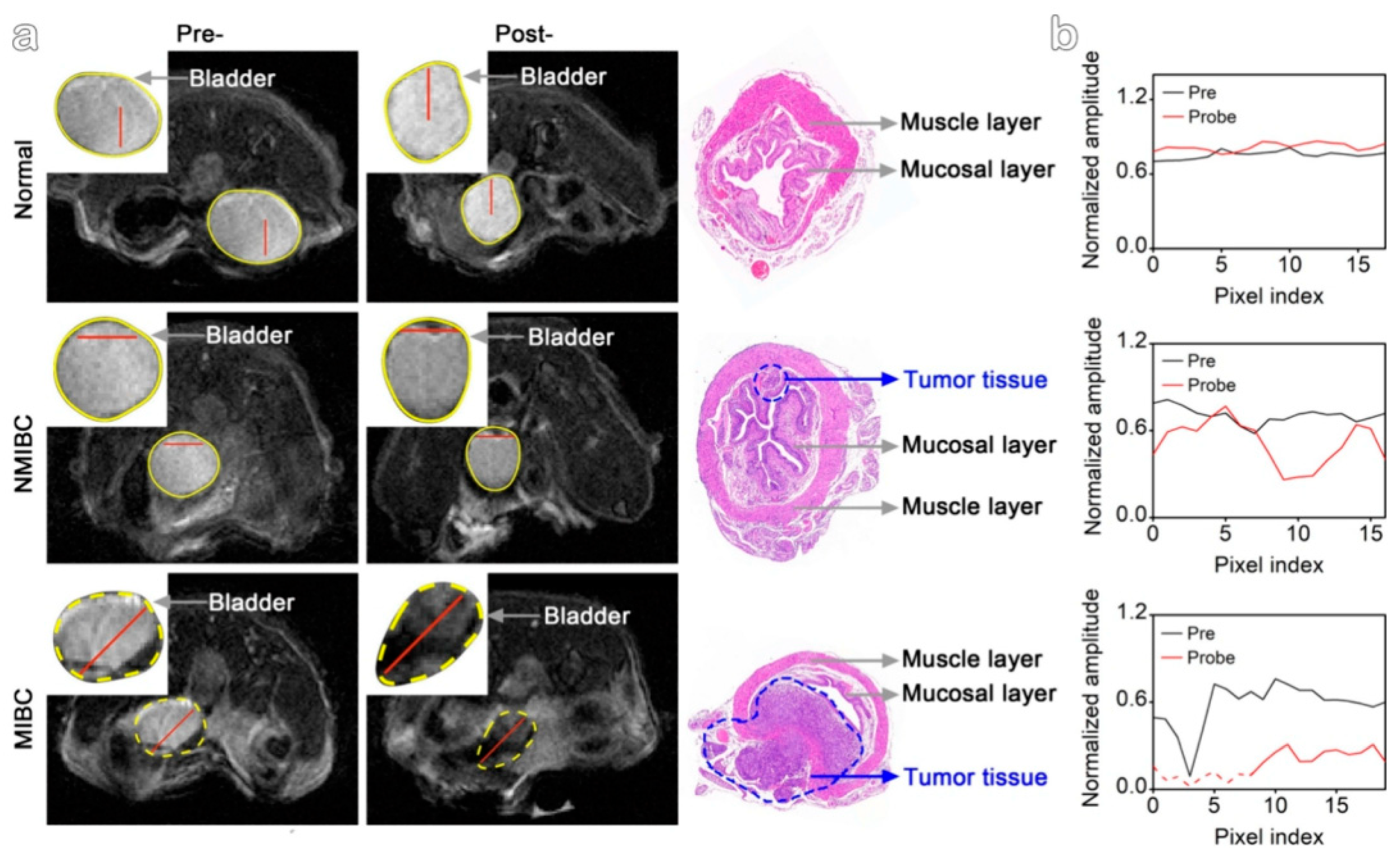 Molecules 30 04290 g016 Molecules 30 04290 g016