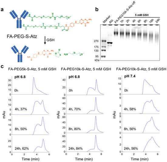 Glutathione-Responsive Folate-Targeted Prodrugs: Tumor-Specific PD
