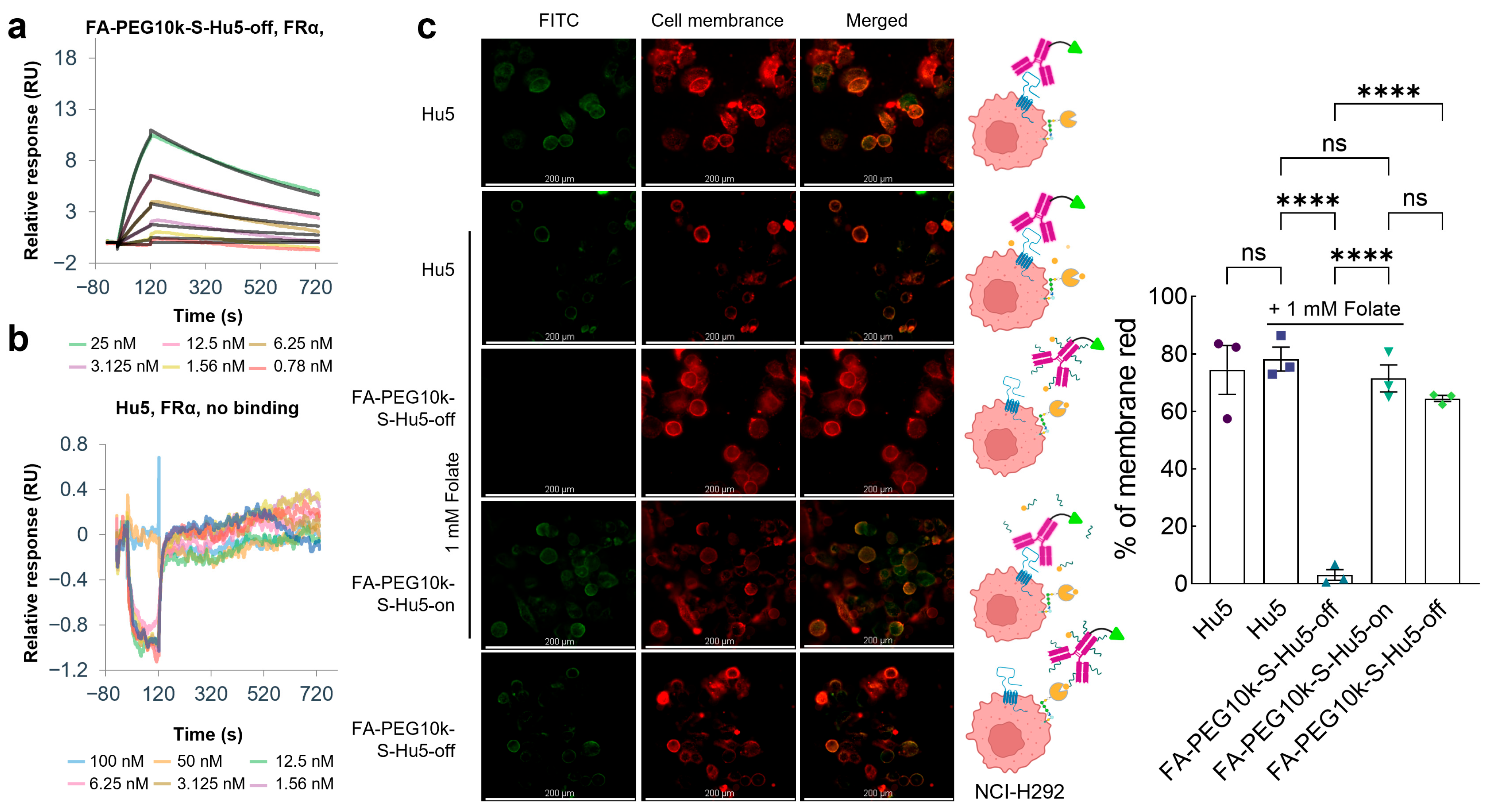 Molecules 30 04292 g006 Molecules 30 04292 g006
