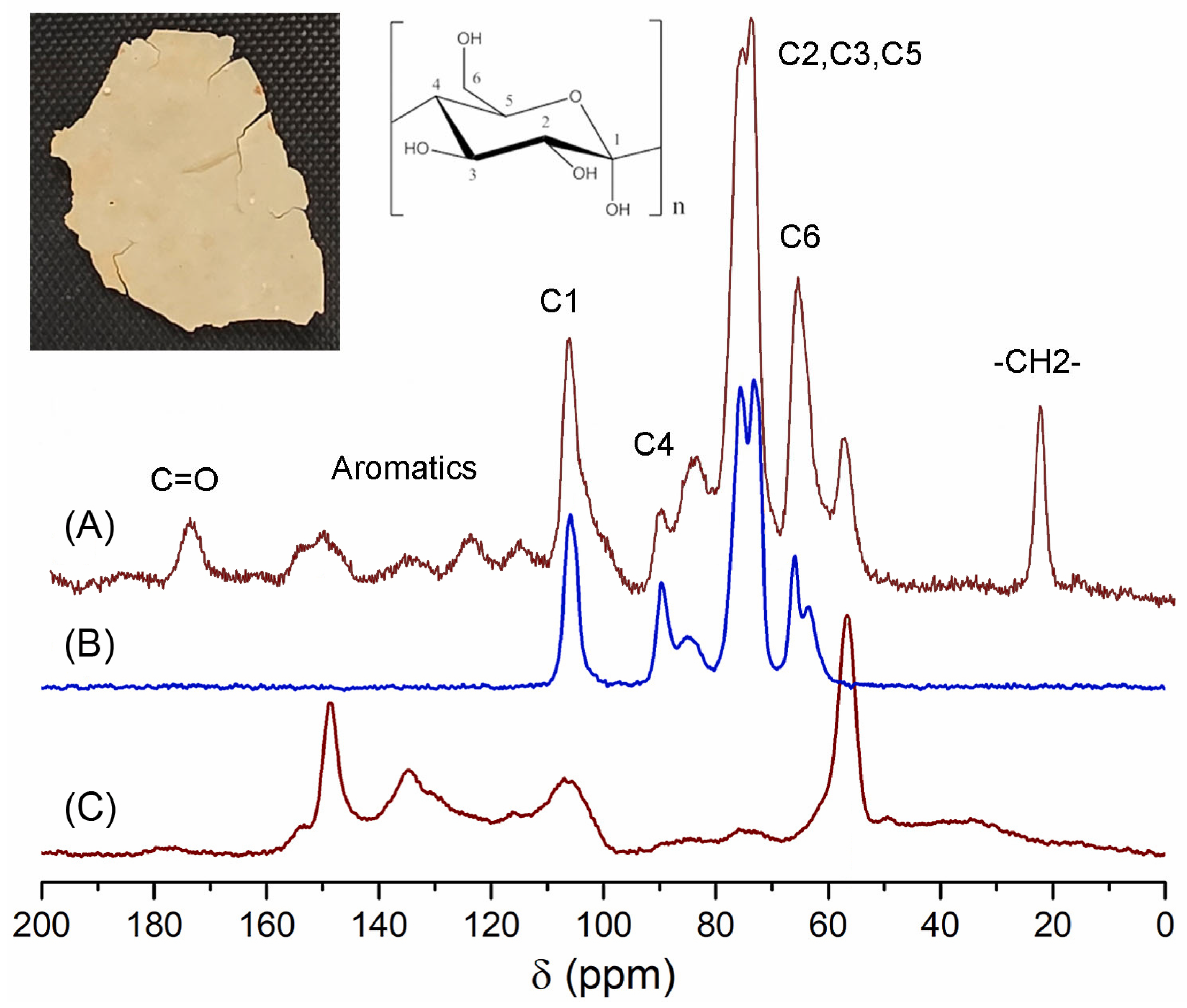 Molecules 30 04293 g002 Molecules 30 04293 g002