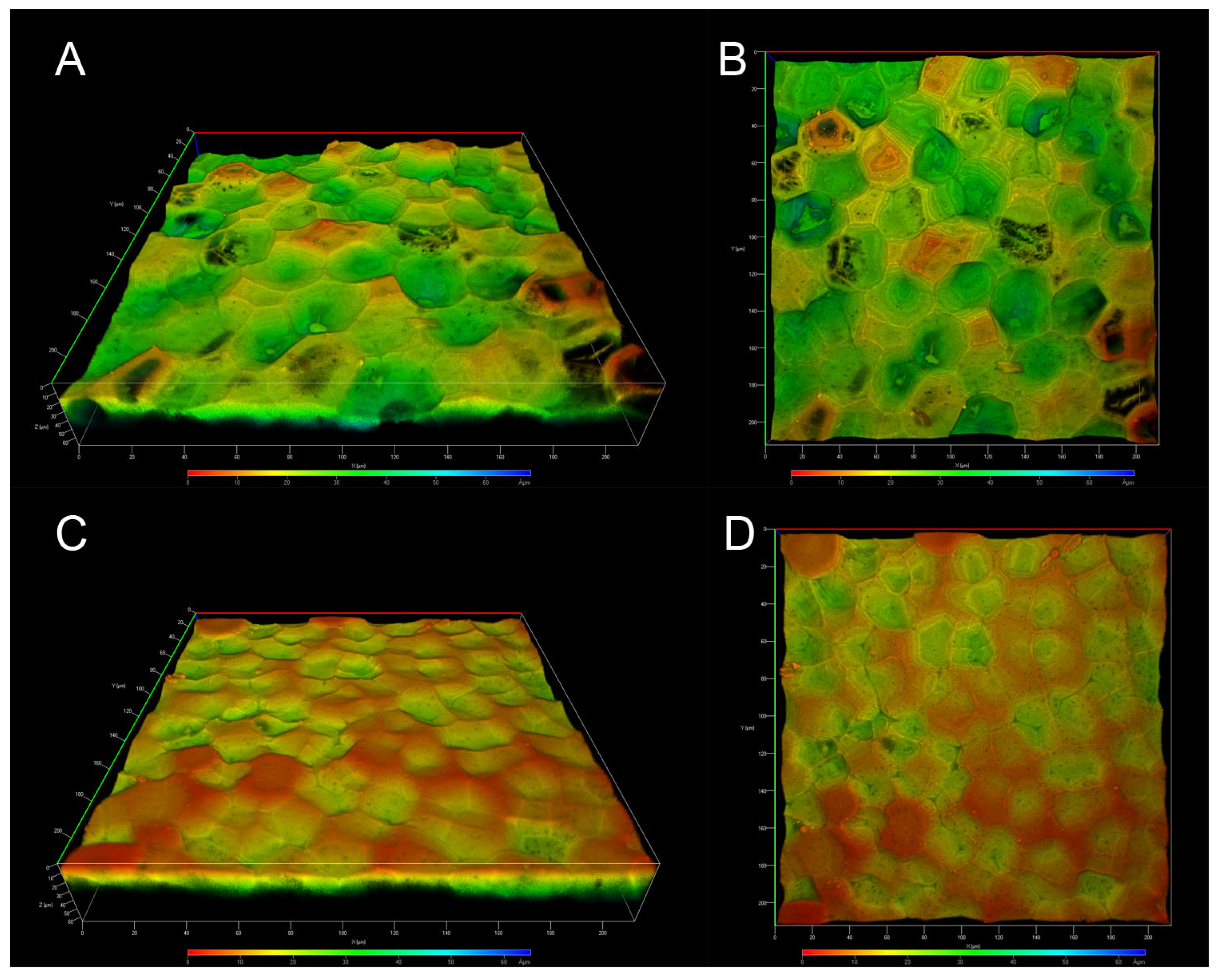 Molecules 30 04293 g004 Molecules 30 04293 g004