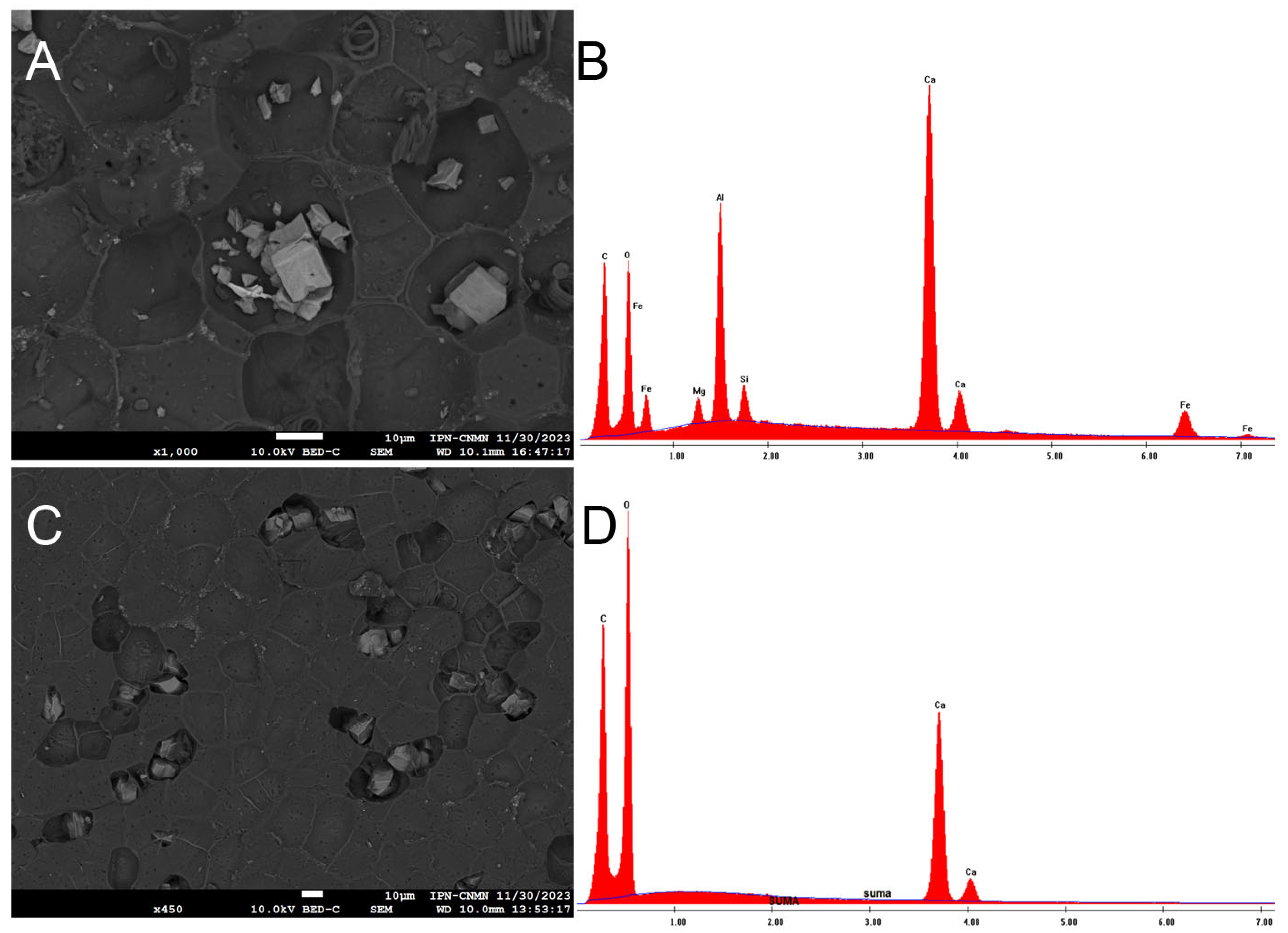 Molecules 30 04293 g007 Molecules 30 04293 g007