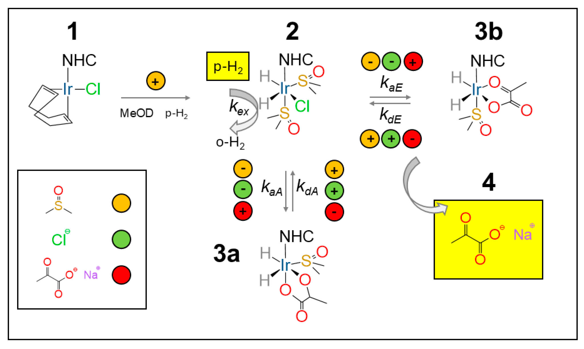 Molecules 30 04299 g004 Molecules 30 04299 g004